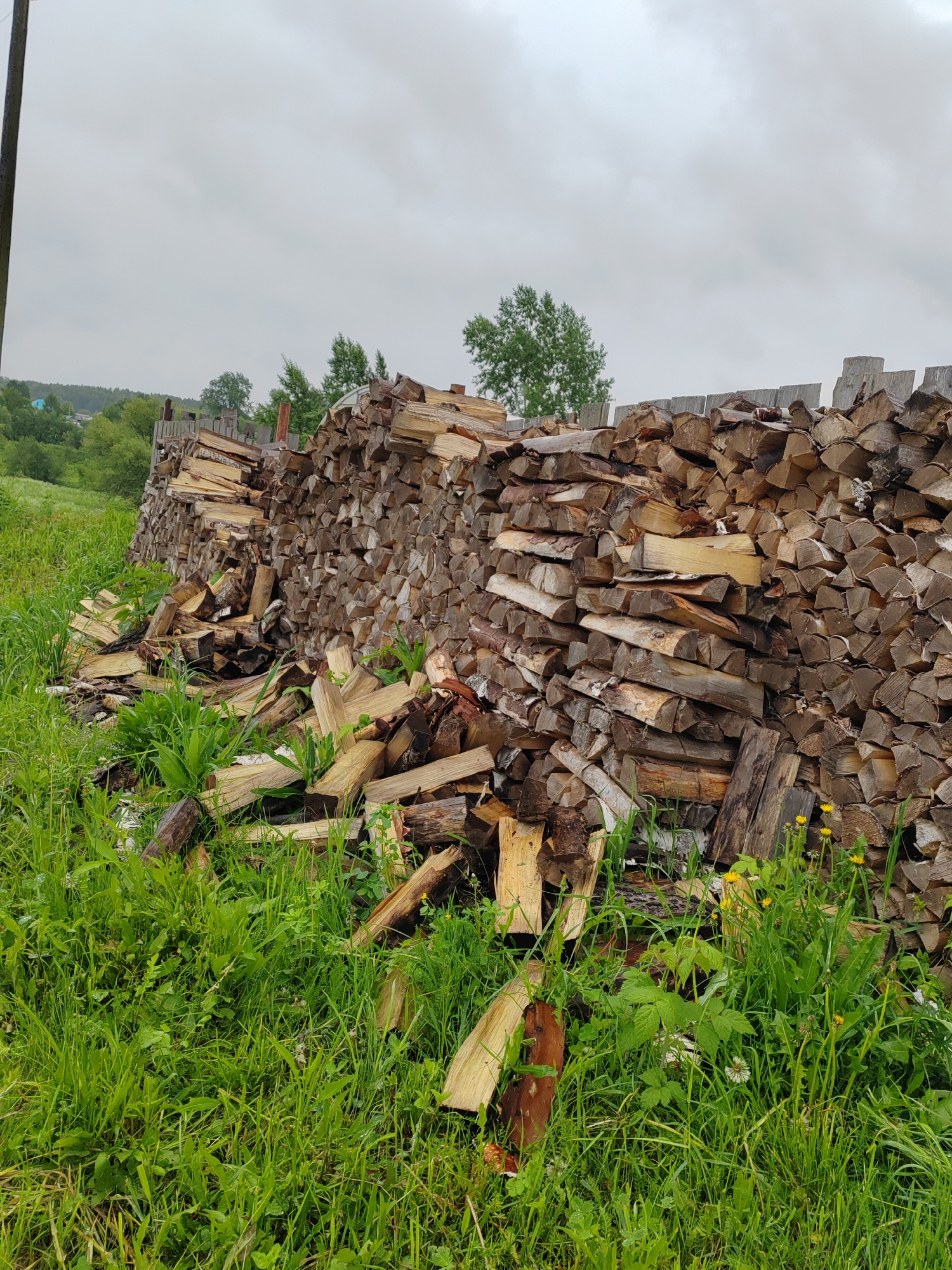 A large, long pile of neatly stacked firewood dominates the middle ground of the image, extending from left to right. The wood pieces are mostly split logs, varying in size and showing different shades of brown, grey, and light wood, indicating various types or stages of drying. Some pieces are irregularly shaped or have bark still attached.
In the foreground, lush green grass covers the ground, with some taller blades and smaller plants growing. Several pieces of split firewood are scattered among the grass, appearing to have fallen from the main pile or been placed there temporarily. Yellow dandelions and other small white flowers are visible in the grass, particularly on the right side.
Behind the extensive woodpile, a simple wooden fence or barrier is partially visible, constructed from unpainted timber planks or posts. Further back, a dense line of green trees forms a natural boundary, with hints of distant structures or houses peeking through the foliage on the left side. A tall, dark pole runs vertically along the far left edge of the frame.
The sky is overcast and grey, suggesting a cloudy day without direct sunlight. The overall setting appears to be rural or semi-rural, characterized by the natural landscape and the practical storage of firewood, likely for heating. No people or visible text are present in the image. No specific activity is captured, but the scene depicts the state of preparedness and storage.