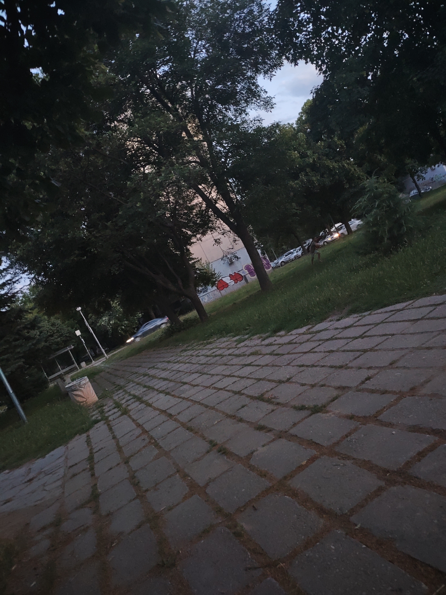 In an outdoor urban setting, a pathway made of square stone pavers, laid diagonally to the viewer, extends into the mid-ground. The pavers are dark grey with some visible grass and dirt in the gaps between them. To the left of the pathway, a metal trash receptacle with a mottled tan exterior sits on a patch of grass. A lamppost stands behind the trash receptacle.
Beyond the pathway and grass, a row of mature trees with dark green foliage dominates the mid-ground. Some of the trees are bare of leaves at their lower sections. In the background, there is a building with light-colored walls and visible graffiti. Several cars are parked on what appears to be a street or parking area. In the grassy area between the trees and the building, a person, appearing to be a child, is walking. The sky above is a dusky blue with some hints of pink and white clouds, suggesting it is either early morning or late evening.