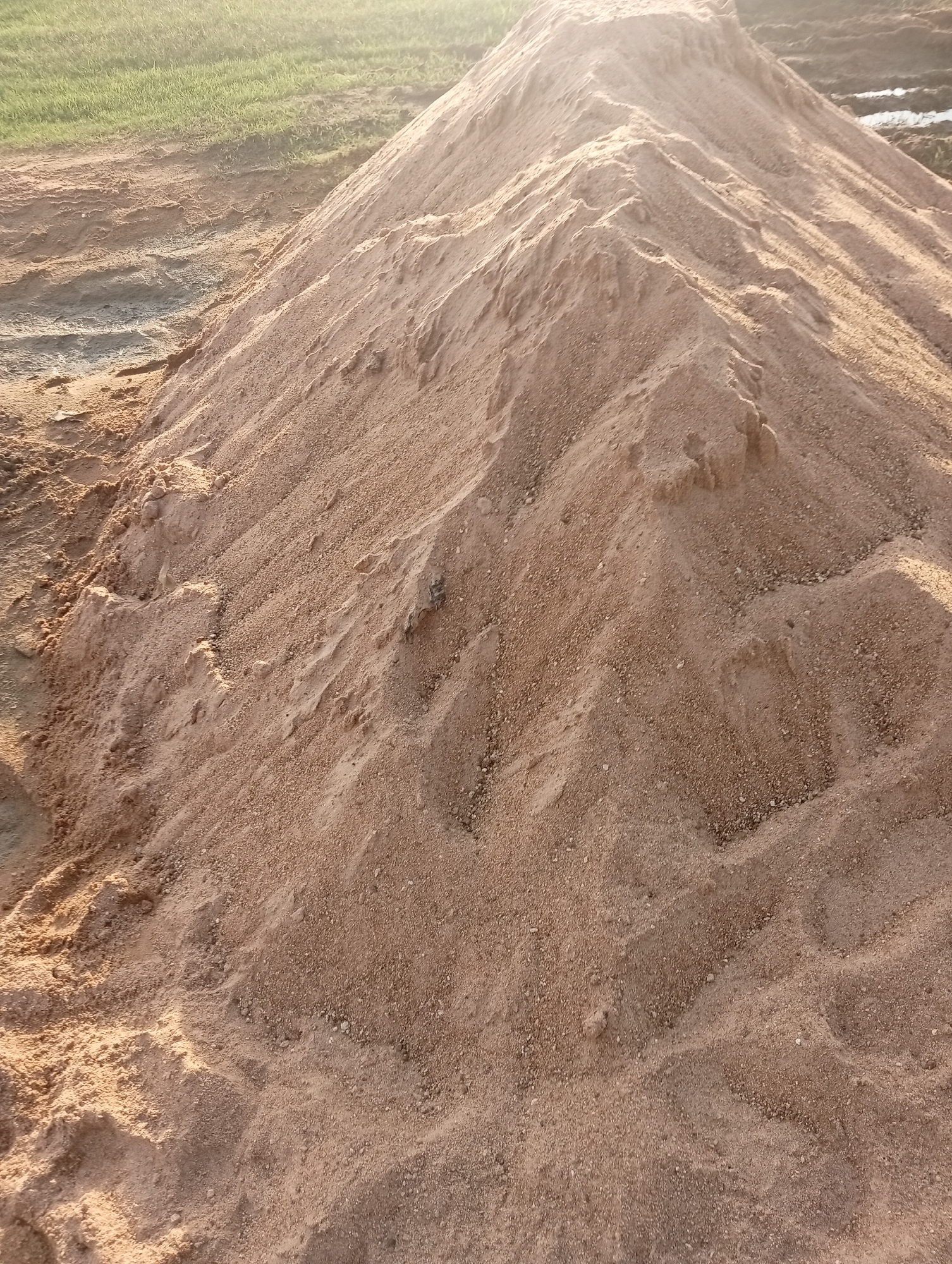 The media file depicts a large mound of light brown sand, likely an aggregate material, situated in an outdoor environment. The sand mound dominates the foreground and mid-ground of the image, exhibiting uneven surfaces with ridges and depressions, suggesting it has been recently excavated or disturbed. The texture of the sand appears granular, with visible small pebbles and particles.
In the background, to the left, a strip of green vegetation is visible, possibly grass or crops, indicating an agricultural or natural setting. The ground surrounding the sand mound seems to be unpaved, with tire tracks or disturbances visible in the dirt. To the right, a glimpse of what appears to be water or a wet patch of ground is present, along with some darker, possibly muddy areas.
The lighting suggests it is either early morning or late afternoon, with a warm, golden hue casting shadows across the sand and highlighting its contours. The overall atmosphere is one of an active construction or land preparation site, with the sand being a key element. There are no people or specific objects identifiable besides the sand and natural surroundings. The scene is devoid of any visible text. The location context of Jalingo, Nigeria, suggests a potentially warm and possibly humid climate, which could influence the appearance of the ground and vegetation.