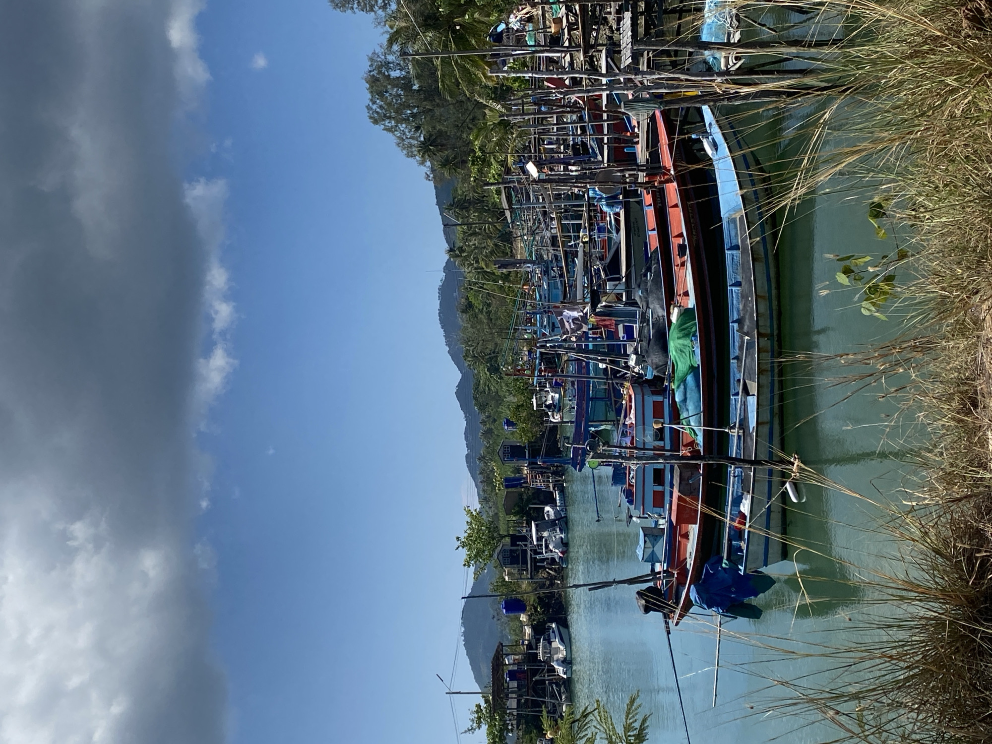 This image captures a vibrant scene of numerous traditional fishing boats moored along a waterway in Baan Wok Tum, Thailand. The scene is dominated by a collection of longtail fishing boats, featuring colorful hulls in shades of red, blue, green, and white. Their tall masts, rigging, and various fishing equipment create a dense, intricate pattern.
The boats rest on calm, green-blue water, which reflects the vessels and the sky. In the foreground, particularly on the right, a thick growth of tall, dry reeds and grasses lines the bank, partially obscuring the water's edge.
Beyond the clustered boats, a verdant landscape unfolds. Lush, tree-covered hills rise in the distance, adorned with dense tropical foliage, including prominent palm trees. Small, simple wooden structures, possibly houses or shacks, are visible amidst the trees on the far bank.
The sky above offers a dramatic contrast: a wide expanse of clear, brilliant blue dominates the right side of the frame, while a large, dark grey cloud mass gathers on the left, suggesting a dynamic weather pattern or an impending change. The bright illumination indicates it is daytime. There are no visible people, and the boats appear to be idle, suggesting they are docked in a working harbor. Faint, illegible white text can be seen on the side of one of the prominent red and blue boats.