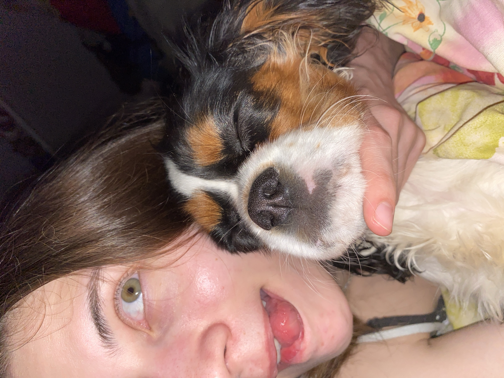 A close-up, intimate portrait captures a person and a tri-color dog, likely a Cavalier King Charles Spaniel, sharing a tender moment. The person, with long brown hair, is lying down, her light brown or hazel eye open and looking upwards, while her mouth is slightly open. The dog, with its eyes gently closed, rests its head affectionately on the person's face, near her nose and mouth. One of the person's hands is visible, gently cradling the dog's head. The dog's fur is a distinctive mix of black, white, and tan, with prominent markings on its face. The background reveals a patterned blanket or duvet with floral designs in yellow, pink, and green, suggesting an indoor setting, possibly a bed or couch. The lighting is dim, indicating it might be evening or night. The image conveys a strong sense of comfort, affection, and relaxation between the human and their pet. No text is visible in the image. The scene takes place in Votkinsk, Russia.