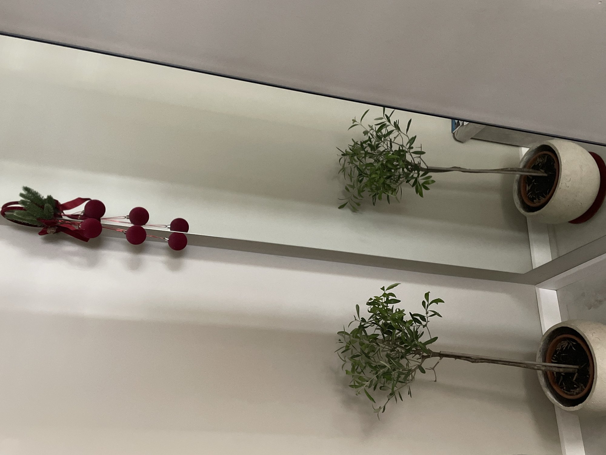 A tall, full-length mirror stands upright against a neutral-colored wall. A thin, bare tree with green leaves in a light-colored pot is placed to the left of the mirror, and its reflection is visible in the mirror. A similar tree is reflected on the right side of the mirror. Above the reflection of the plants, a red Christmas decoration hangs from the wall, consisting of a sprig of pine, a red ribbon, and several red pom-poms. The floor is a light gray color. There are no people visible in the image. The scene is indoors, likely in a residential setting.