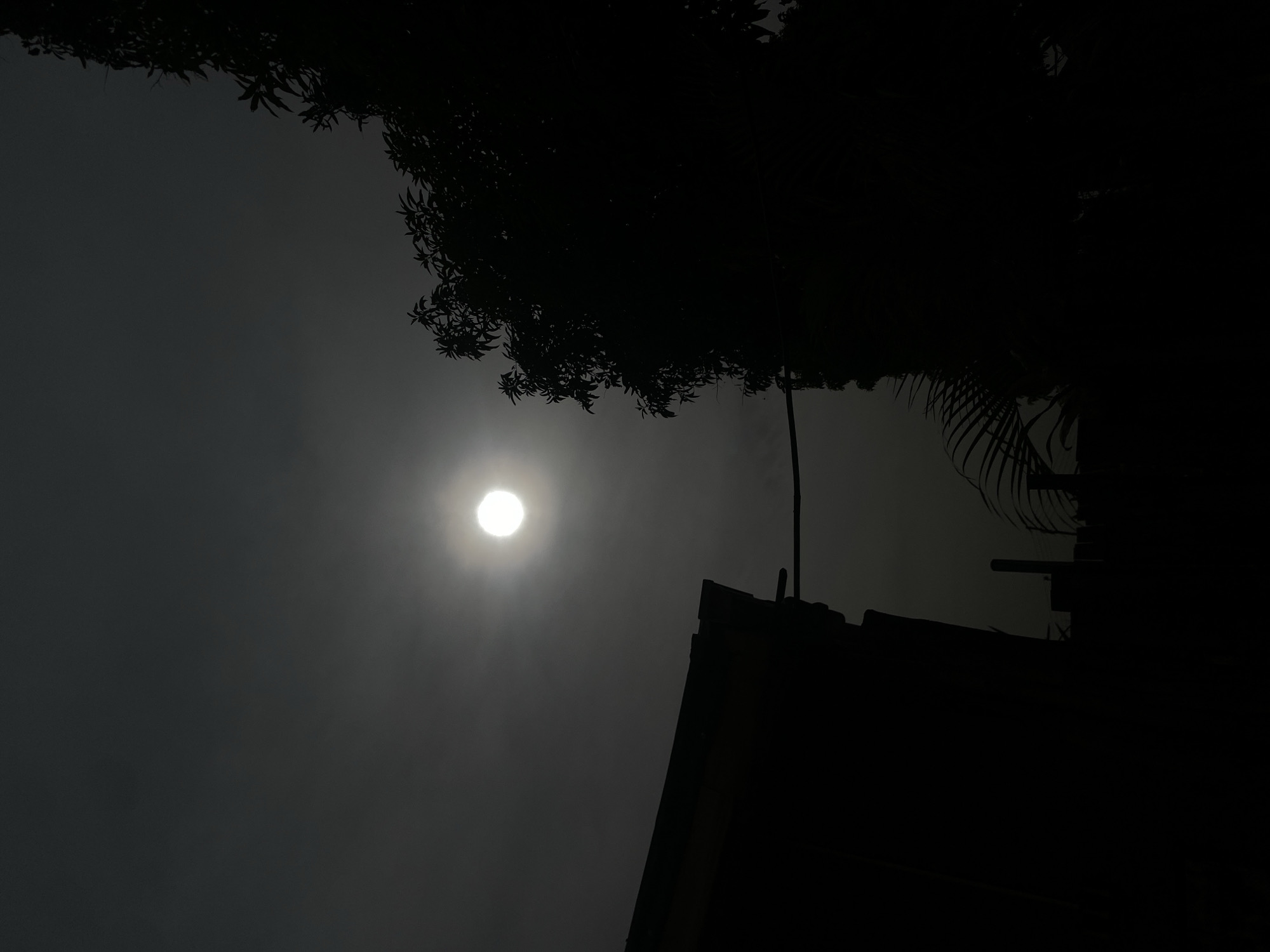 The media file presents a high-contrast outdoor scene, primarily composed of silhouettes against a luminous, diffused sky. A bright, circular orb, likely the sun, is centrally located in the left half of the frame, its light heavily diffused by a thick atmospheric haze, fog, or dense cloud cover. This diffusion creates a soft, ethereal glow around the light source, washing out the sky in shades of dark gray.
Silhouetted tree canopies, rich with discernible leaf patterns, frame the top and upper-right portions of the image. In the lower right, the angular silhouette of a building's roofline is visible, hinting at a structure in the foreground. A thin, dark vertical element, possibly a pole or wire, extends upwards from behind the building's roof.
No people are visible in the image. The prevailing weather condition is characterized by significant atmospheric obstruction, resulting in low visibility and a predominantly monochromatic palette. The time of day is ambiguous; the diffused light suggests either early morning, late afternoon, or midday during exceptionally heavy cloud cover. The scene evokes a quiet, somewhat mysterious, and calm mood. This setting is in Barden Yana, Nigeria. There is no visible text.