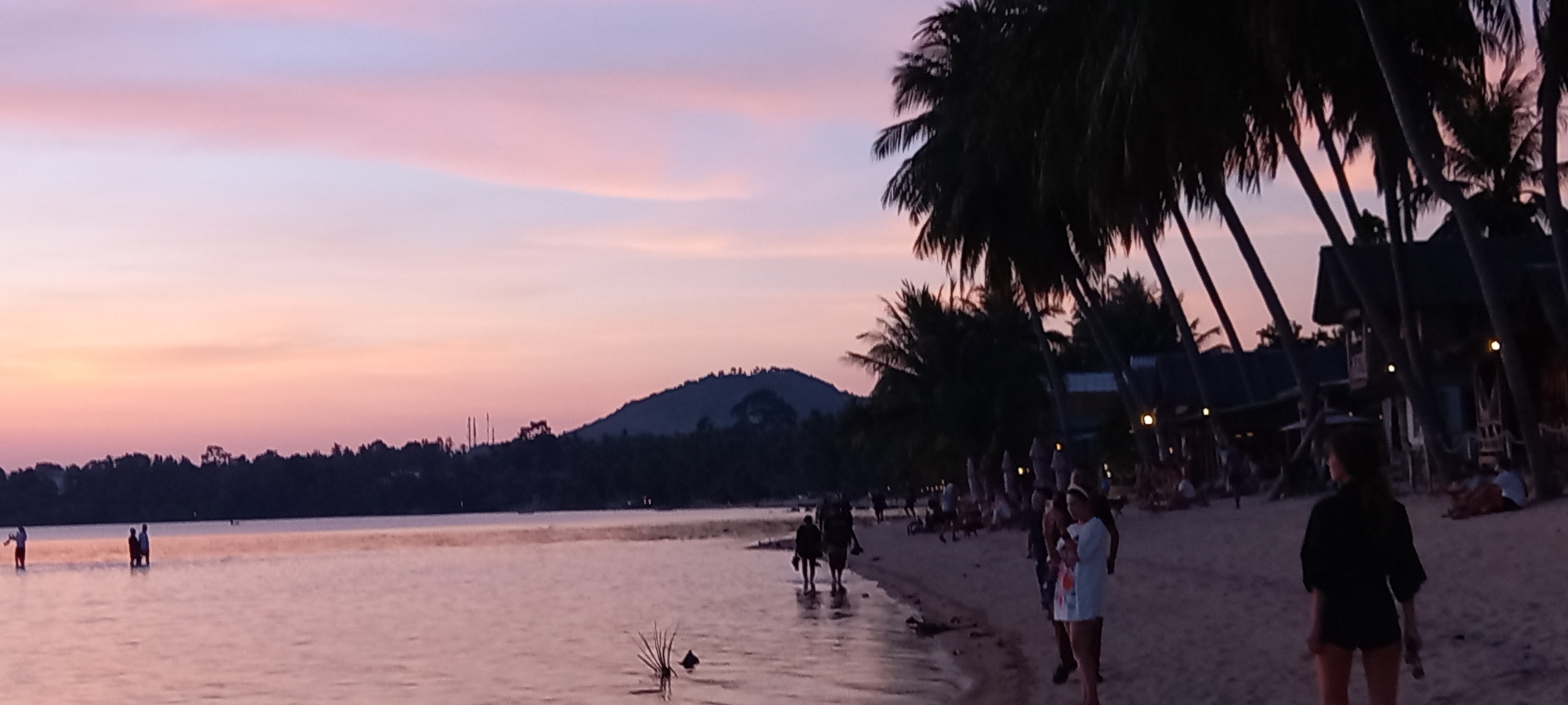 The image depicts a beach scene at sunset in Baan Sri Thanu, Thailand. The sky exhibits a gradient of pink and purple hues. A body of water extends from the foreground towards a dark treeline in the distance, where a small hill is visible. Several people are wading in the water and walking along the shoreline. Palm trees line the beach, casting silhouettes against the colorful sky. Some structures, possibly beachside establishments, are visible among the trees, with a few lights emanating from them. People are present on the beach near these structures.