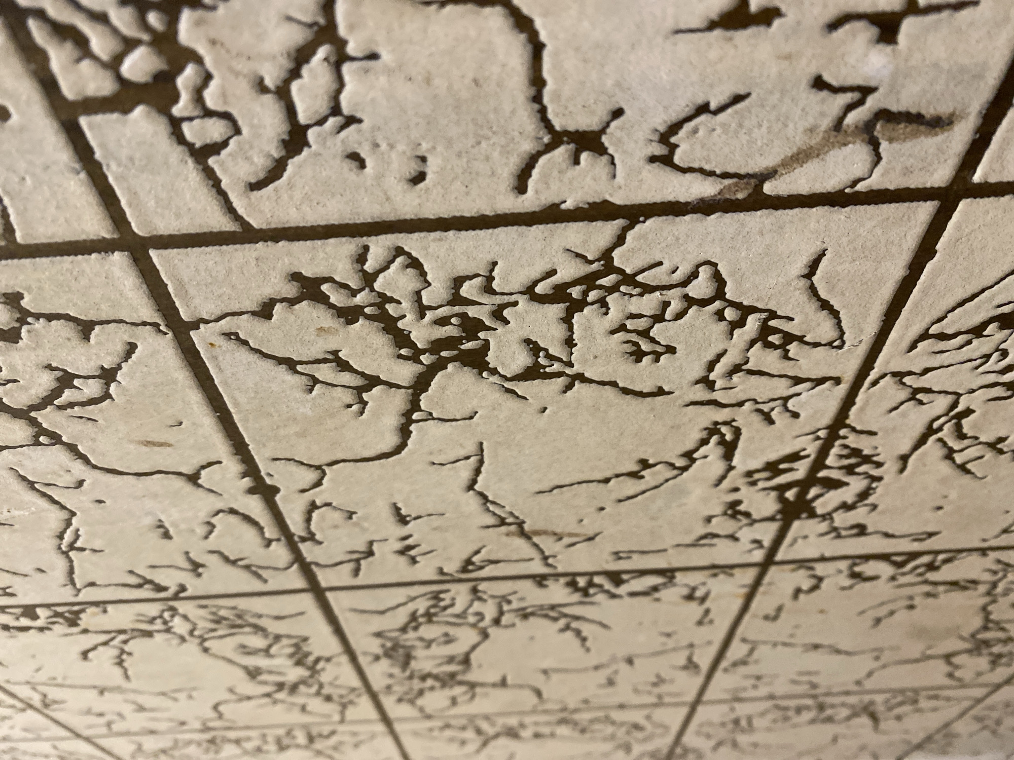 The image presents a close-up, angled view of a textured tiled surface, likely a ceiling or upper wall, in what appears to be an indoor setting. The surface is composed of numerous light-colored, possibly off-white or beige, square or rectangular tiles. These tiles are delineated by thin, dark grout lines that form a regular grid.
A prominent feature of the tiles is their highly irregular and intricate dark brown or black pattern. This texture gives the impression of cracked paint, aged plaster, or possibly dried mud, creating a complex, organic, and somewhat fractal-like design across each tile. The dark patterns are raised or recessed, providing a clear contrast against the lighter, slightly granular background of the tile surface itself. The overall aesthetic is one of age or deliberate rustic design.
The perspective is looking upwards and slightly away from the viewer, giving a sense of depth and implying a larger installation. There are no people, objects, or activities depicted, and no visible text. The lighting appears to be artificial, making the time of day and external weather indeterminate. The image focuses solely on the architectural detail and its unique surface characteristics. The location context suggests this might be a common or distinctive feature within buildings in Novokuznetsk, Russia.
