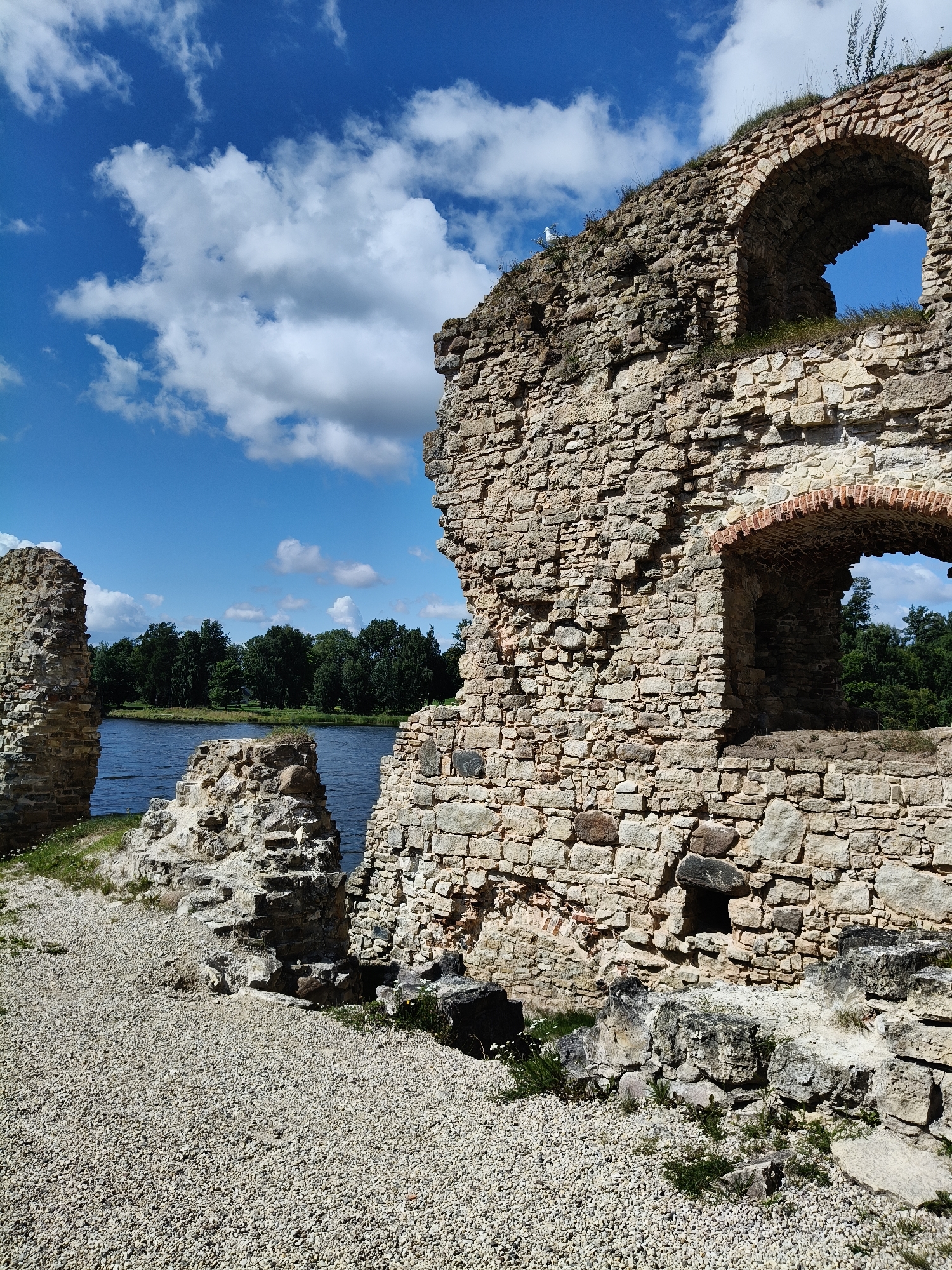 The image shows the ruins of Koknese Castle in Koknese, Latvia, on a sunny day. The stone ruins, made of large, rough-hewn stones, dominate the foreground and right side of the image. There are visible arches in the stone structure, one of which frames a clear blue sky with white clouds. A seagull is perched on the top of the wall near the arch. The ground in the foreground is covered in small, light-colored gravel with patches of green grass and small white flowers. To the left and in the background, a body of water, likely a river, is visible, bordered by a dense line of green trees. The sky is bright blue with scattered white cumulus clouds. The scene depicts a historical landmark in a natural setting.