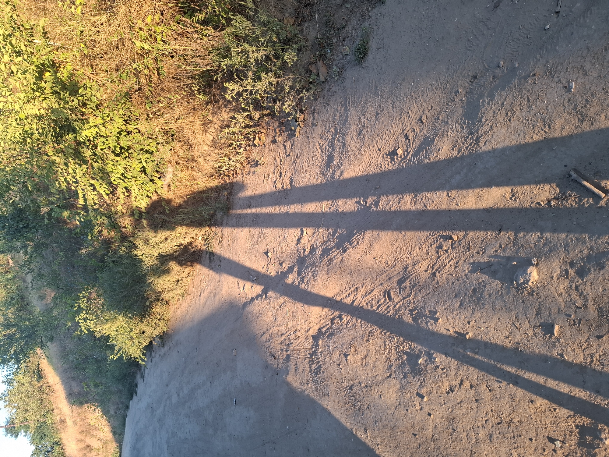 The image depicts a dirt path or road winding through a grassy, vegetated area under the warm light of what appears to be late afternoon or early morning sun. The low angle of the sun casts long shadows across the path and onto the hillside. In the foreground, the shadows of two individuals are prominently visible, stretching diagonally across the dirt. The ground is sandy and uneven, with tire tracks and scattered small stones. The surrounding vegetation consists of dry grasses and bushes, with some greener foliage on the hillside in the background. The scene suggests an outdoor location in a rural or semi-rural setting, possibly on the outskirts of Dubăsarii Vechi, Moldova, given the typical landscape and vegetation found in such areas. There are no discernible buildings or urban structures in the immediate vicinity, indicating a natural or undeveloped environment.