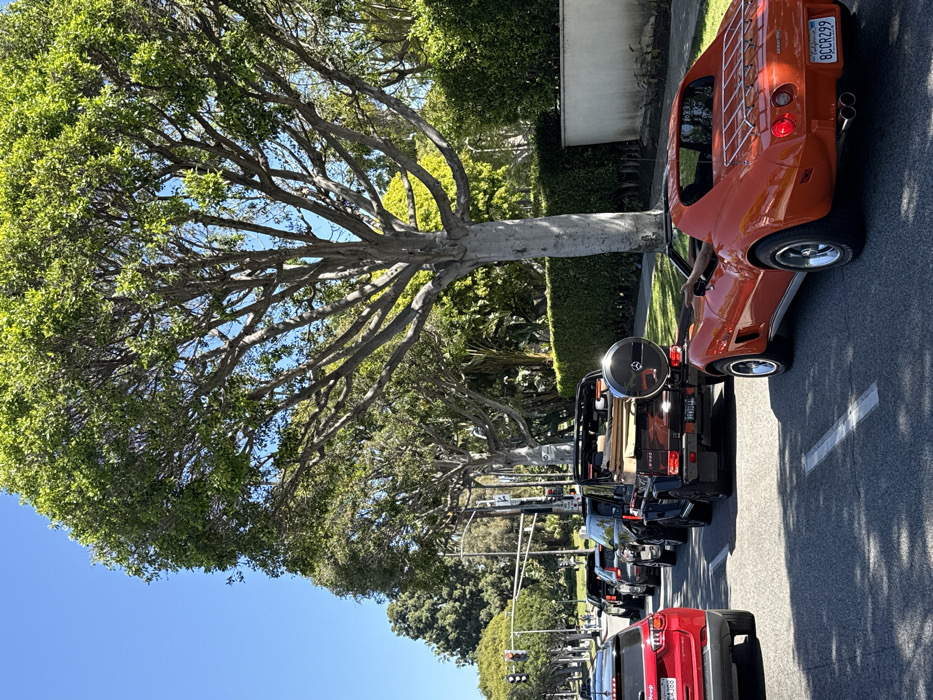 The image depicts a clear-day street scene with vehicles in a queue, located in Beverly Hills, United States of America.
In the immediate foreground on the right, an orange Chevrolet Corvette C3 Stingray convertible (circa 1970s model) is positioned on an asphalt road with a white dashed lane line to its left. The vehicle features a chrome luggage rack on its rear deck lid and a visible California license plate "BCC R299". A single bare arm extends from the driver's side of the Corvette, resting on the door frame.
Directly ahead of the Corvette is a black Mercedes-Benz G-Wagen (G-Class) convertible, identifiable by its rear-mounted spare wheel assembly with a Mercedes-Benz emblem. Cardboard boxes or similar materials are visible in the open rear compartment of the G-Wagen. Its California license plate reads "9F83014".
Further in the queue, to the left of the G-Wagen, a red Jeep Compass SUV is partially visible, showing its rear section and a California license plate "8XDA383". A line of additional vehicles, including various SUVs and sedans of dark colors, extends into the background, halted at an intersection where traffic lights are visible.
The environment is characterized by abundant greenery. Large, mature trees with full green foliage and prominent gray trunks line both sides of the street, casting shadows. On the right, a manicured green hedge runs alongside a light-colored, curved concrete or stucco wall, indicating a property boundary. The sky above is clear and blue. Bright sunlight illuminates the scene, creating distinct shadows on the asphalt. Utility poles and street signage are visible in the mid-ground.