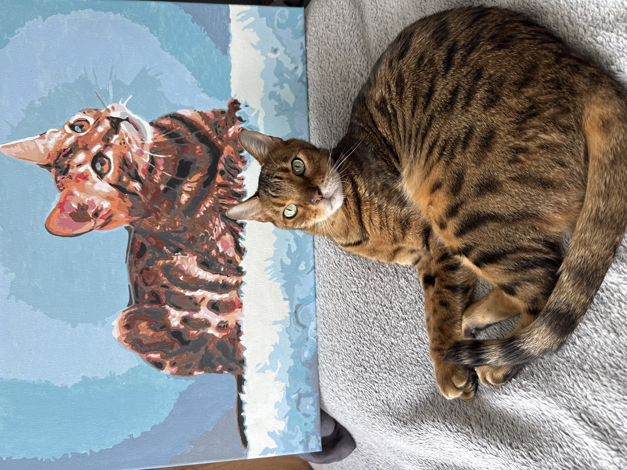 A captivating close-up shot features a live Bengal cat lying on a soft, grey textured blanket, positioned next to a paint-by-numbers canvas depicting what appears to be the same cat. The real cat, with its distinctive spotted and striped brown tabby fur and striking green eyes, is curled up on its side, gazing directly at the viewer. White whiskers fan out from its nose, and its posture suggests a relaxed state.
To the left of the cat is the partially completed painting, oriented vertically. The painted cat's head and upper body are rendered in a blocky, segmented style characteristic of paint-by-numbers, utilizing various shades of brown, orange, and black for its fur, with bright green eyes and white whiskers matching the real animal. The background of the painting is a light blue, transitioning into slightly darker and lighter shades, suggesting a sky or an abstract setting. The contrast between the detailed fur of the live cat and the stylized, segmented colors of its painted likeness is a central theme of the image. The scene is well-lit, indicating an indoor, daytime setting. There is no visible text in the image.