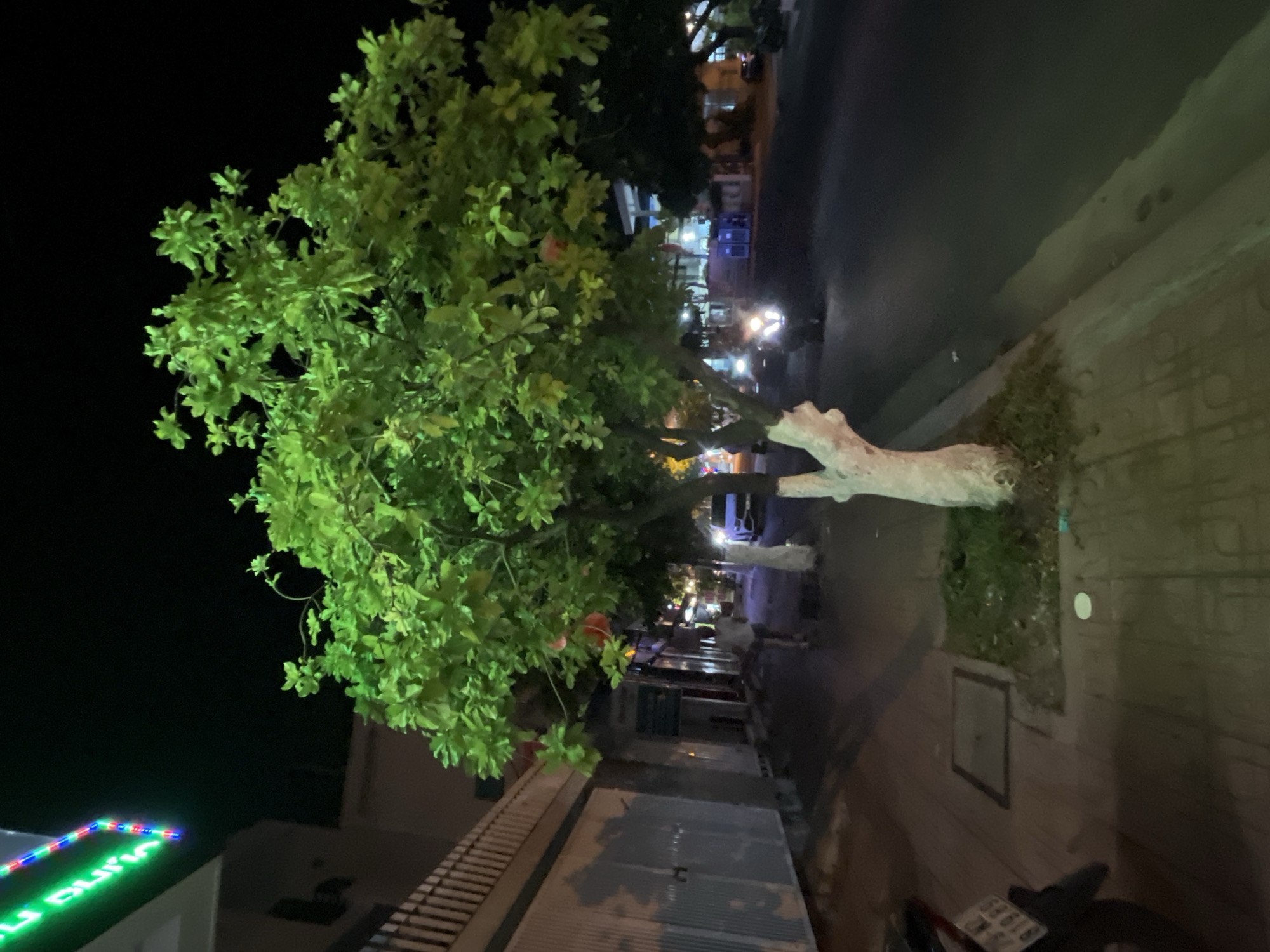 At night in Bac Nha Trang Ward, Vietnam, a tree with bright green foliage and a whitewashed trunk stands beside a street. The sidewalk is paved with gray stone. A building with a striped, gray facade runs alongside the sidewalk, and a motorcycle is parked near a utility access point in the sidewalk. In the background, streetlights and building lights illuminate the street, where people are walking.