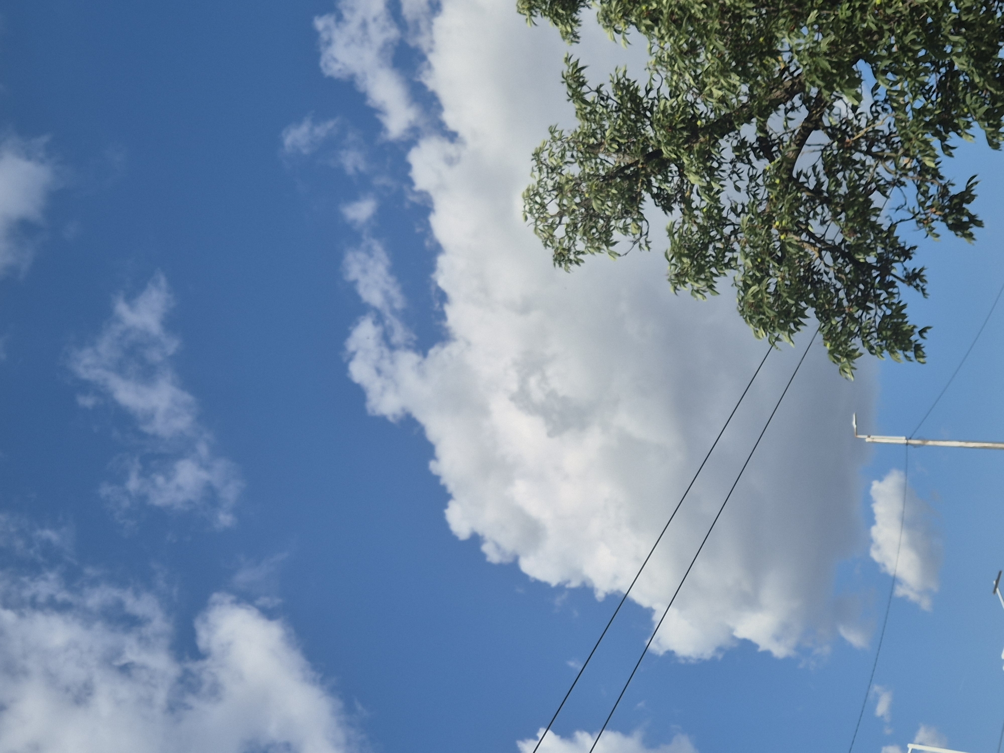 This media file is a photograph of a bright blue sky with scattered white and gray clouds. A portion of a green leafy tree is visible in the upper right quadrant of the image. Power lines stretch diagonally across the frame. Two white poles, likely utility poles, are visible in the background on the right side. The scene suggests an outdoor setting on a partly cloudy day. The time of day appears to be daytime, given the brightness of the sky. No people are visible, and there is no text in the image. The overall mood is serene and natural.