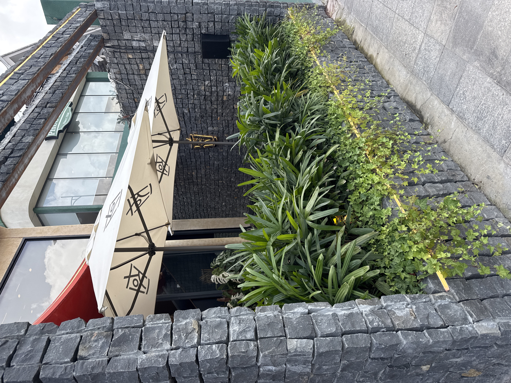 The image depicts the exterior of a restaurant in Da Lat, Vietnam, featuring a modern architectural design with extensive use of dark gray stone blocks. Two white umbrellas with a geometric black pattern are positioned outside, likely for customer seating. Lush green plants, including broad-leafed varieties and ivy, cascade down the stone walls, creating a naturalistic aesthetic. A sidewalk made of light gray square tiles runs alongside the establishment. In the background, a building with large windows reflects the sky, and a green sign reading "PHUC HOA since 1968" is visible, identifying the restaurant.