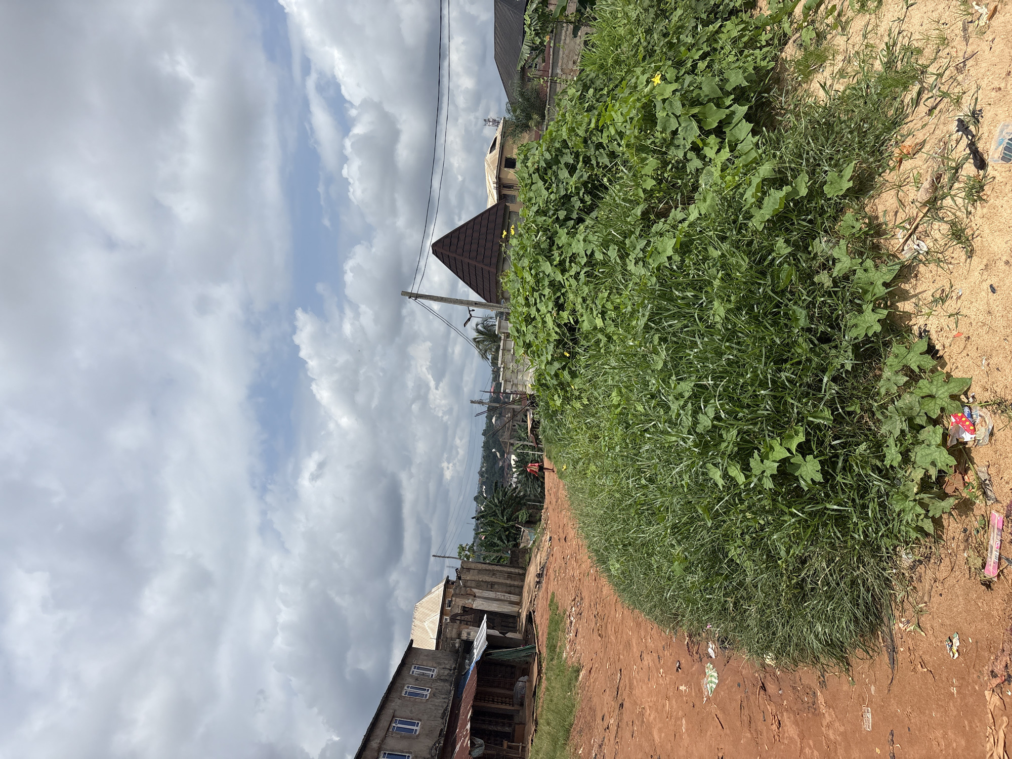 This image depicts a street scene in Nkpor, Nigeria. The foreground features a dirt road with sparse debris scattered on its surface, bordered by a thick patch of lush green grass and climbing vines. In the mid-ground, a person in a red shirt walks away from the camera, heading down the road. Various buildings are visible, including a two-story structure with multiple windows on the left, and a building with a distinctive pyramid-shaped, dark-tiled roof on the right. Trees and other vegetation are scattered throughout the landscape. The sky above is filled with dramatic, cloudy formations, suggesting an overcast or impending weather event. The overall impression is of a somewhat unkempt but lived-in urban environment.