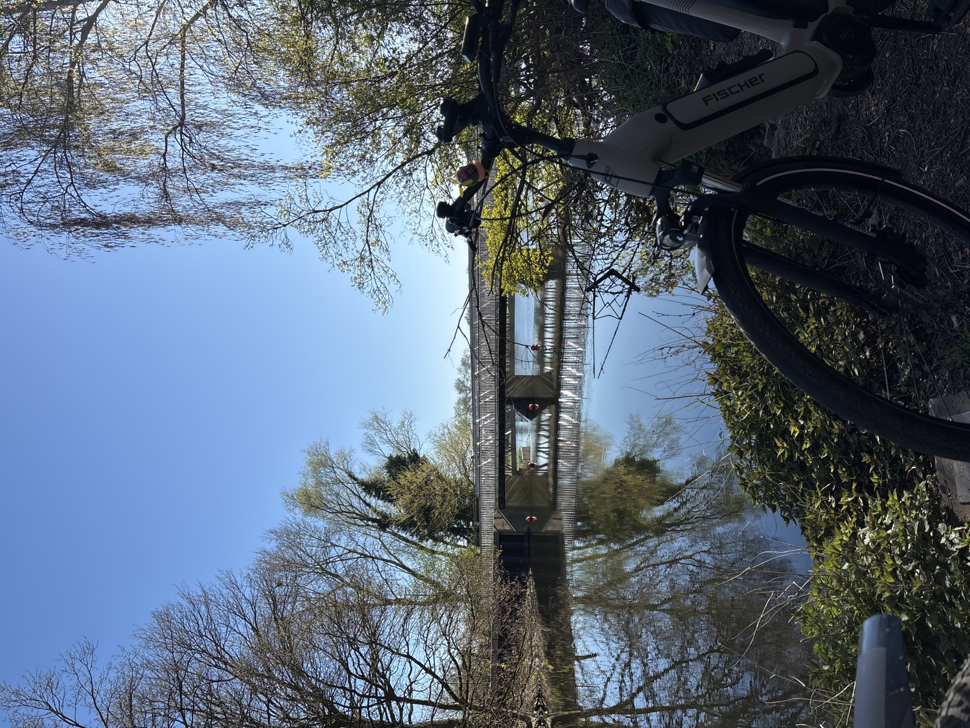 A sideways eye-level shot shows a bridge reflected in water, with a bicycle on the right. The sky is clear blue. Bare branches of trees are on the left and top of the frame. The water is reflecting the bridge and trees. The bicycle is partially visible, with the front tire and handlebars in view. The bicycle frame has "FISCHER" printed on it. Green foliage appears on the right, bordering the bicycle. No people are seen in the image. The location is Unknown, Unknown.