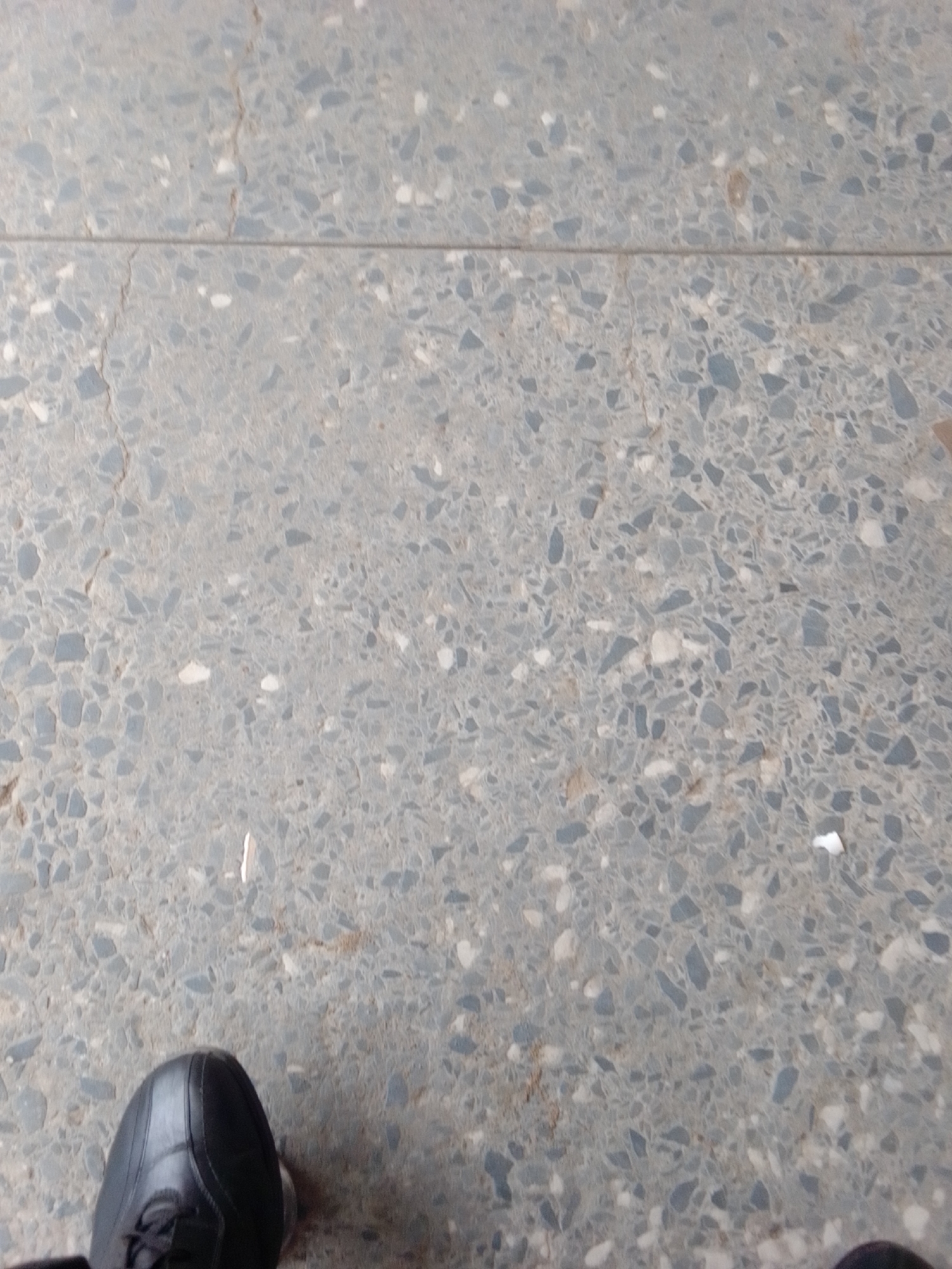 The image shows a close-up, eye-level view of a person's feet standing on a terrazzo floor. The floor is grey with scattered white and dark grey aggregate pieces, and there is a visible crack running horizontally across the frame. The person is wearing black leather shoes. The scene appears to be indoors or under a covered area, likely a public space given the flooring. The Jalingo, Nigeria location is not visually discernible from the image itself, and would require external information to determine.