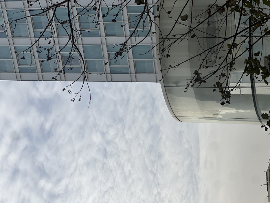 An upward perspective reveals a building's stark, geometric facade with a grid of windows, juxtaposed against a curved, mirrored section. Branches with sparse leaves frame the scene, adding a natural element. A cloudy sky fills the remaining space, creating a contrast between the architectural sharpness and the softer, organic forms. The overall composition features a strong sense of lines and reflections.