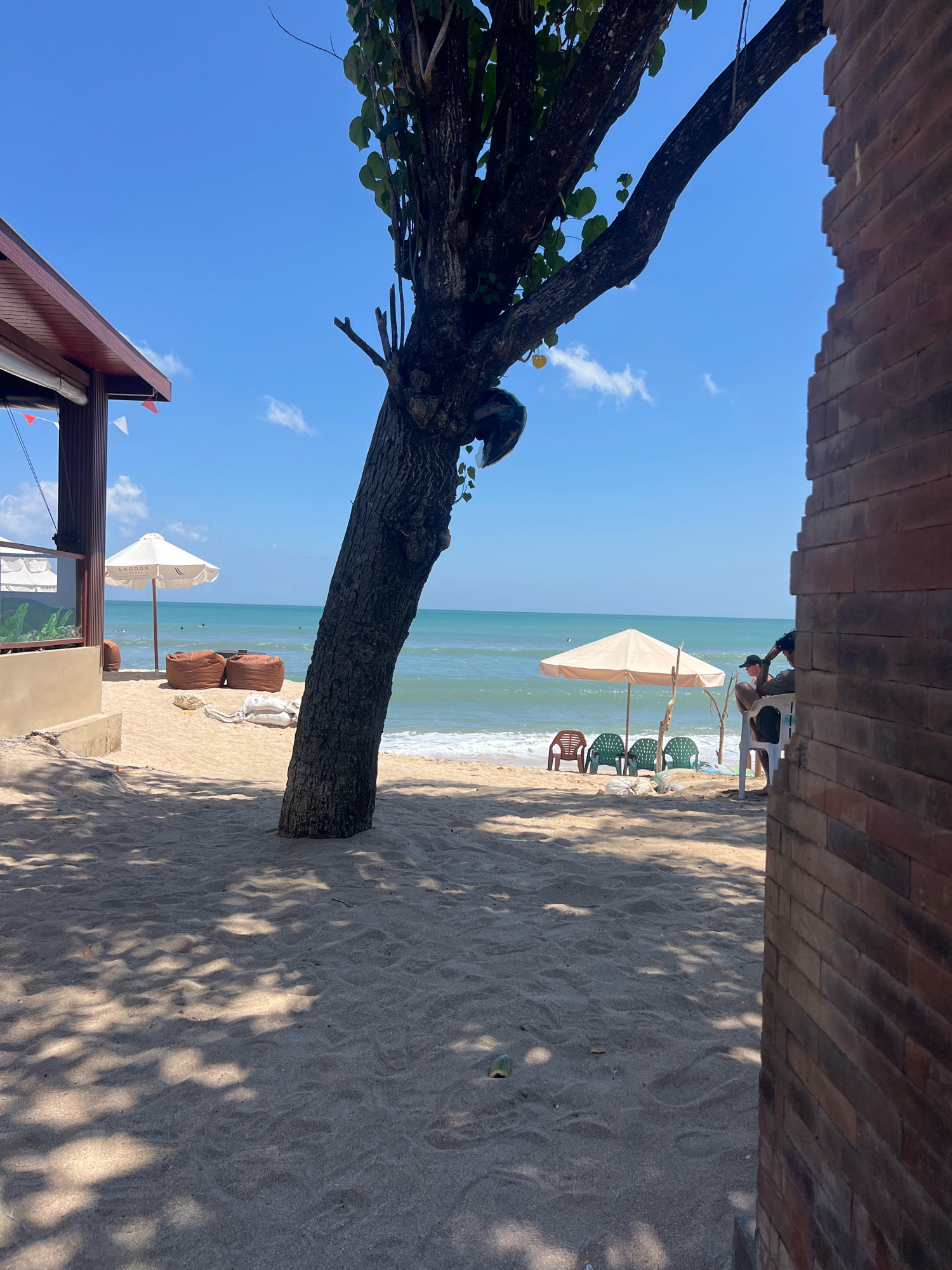The image captures a beachfront scene in Kuta, Indonesia. In the foreground, a large tree trunk dominates the left side, casting dappled shadows on the sandy ground. To the left of the tree, a portion of a building with a wooden roof and brown siding is visible. The building has a glass partition and appears to be a beachfront establishment. Small red and white triangular flags are attached to the building's overhang.
Further into the scene, the sandy beach stretches towards the ocean. Several brown beanbag chairs are arranged on the sand, with a white umbrella labeled "LAGOOX" behind them. White sandbags are also present. In the middle ground, a beige beach umbrella shades a few plastic chairs, two green and one orange.
A person wearing a black hat and a white shirt is seated on a white plastic chair, facing away from the camera, under the beige umbrella. Another person, partially obscured by the brick wall on the right, is also visible in the background. The turquoise ocean with gentle waves forms the horizon, and the sky above is a clear, bright blue with a few wispy clouds. The overall impression is a relaxed beach setting with elements of a beachside cafe or lounge.