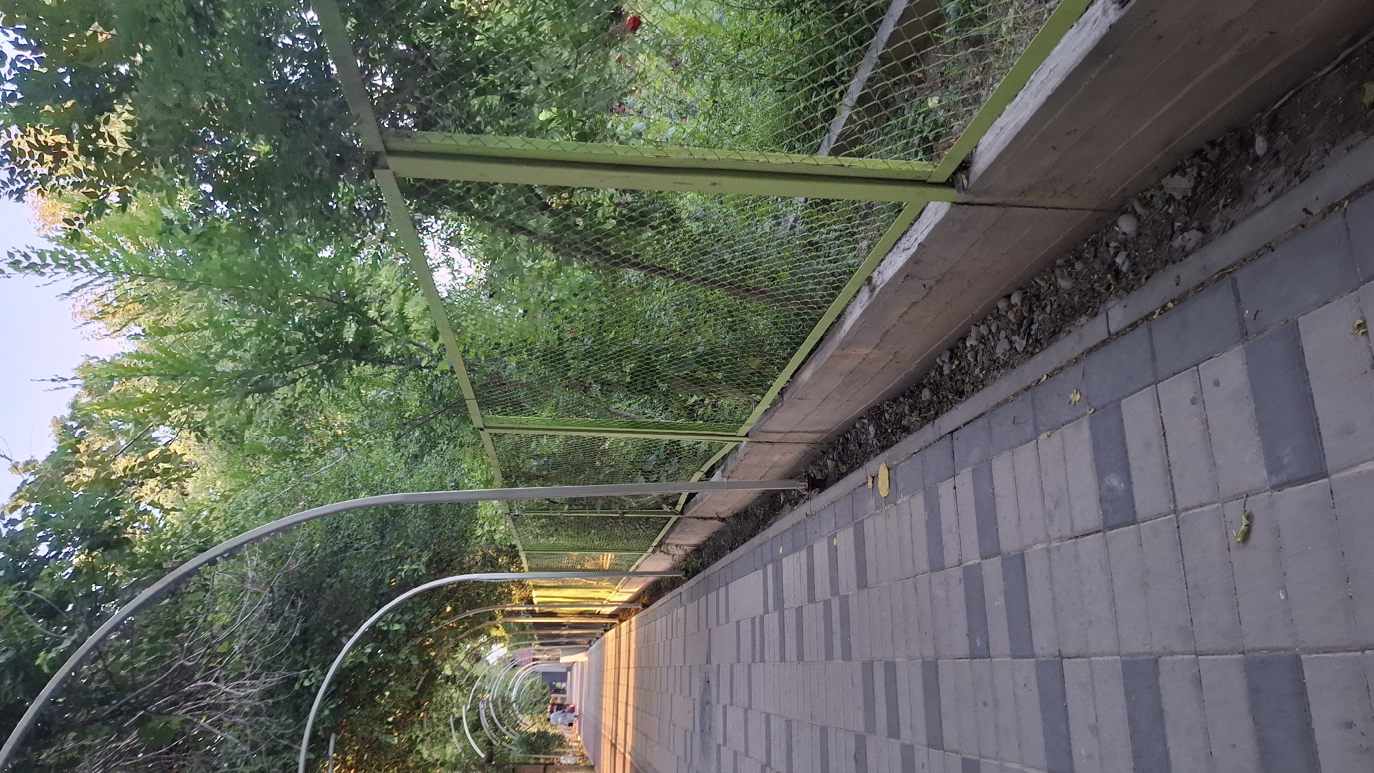 A sun-dappled pedestrian walkway lined with arches creates a tunnel-like effect, leading into the distance where a few indistinct figures can be seen walking. The walkway is paved with rectangular grey and dark grey tiles. To the right of the walkway, a green metal fence with a diamond mesh pattern runs parallel to the path, supported by metal posts. This fence is bordered at its base by a concrete retaining wall. Beyond the fence, lush green trees and vegetation create a dense, natural backdrop, with hints of red flowers visible in the foliage. The scene appears to be an outdoor public space in the city of Shymkent, Kazakhstan, possibly a park or a recreational area. The lighting suggests it is late afternoon or early evening, with the sun casting long shadows and highlighting the leaves of the trees.
