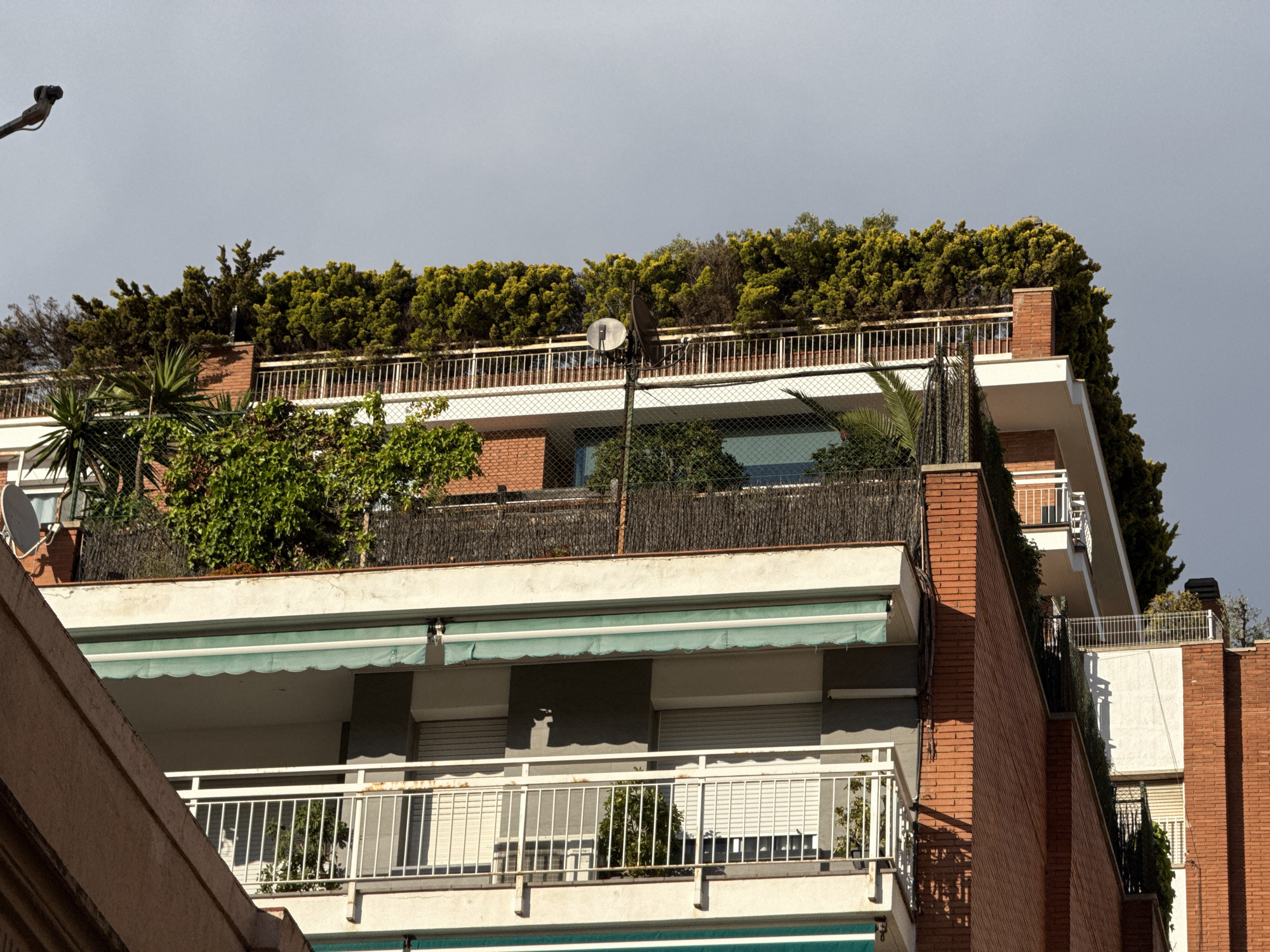 This image presents a close-up view of a multi-story residential building, likely located in Barcelona, Spain. The architecture features stepped terraces and balconies, constructed with a combination of red brick facades and white-painted sections. White metal railings adorn the balconies, which are often equipped with green canvas awnings. Many windows throughout the building have closed roller shutters.
A prominent characteristic of the building is the extensive greenery. The uppermost terrace is densely covered with trees and shrubs, creating a significant rooftop garden or 'green roof' effect. Additional plants and palm trees are visible on lower balconies and terraces. Several satellite dishes are mounted on the upper levels, with one large dish centrally placed and another partially visible to the left. A brick chimney structure can be seen on the upper right side of the building.
The sky is overcast and grey, indicating a cloudy day. Shadows are cast on the brick walls and under the awnings, suggesting diffused natural light, possibly during the morning or afternoon. No people or specific activities are depicted in the scene, which focuses on the architectural and natural elements of the building. A portion of a street light or similar fixture is visible in the top left corner. No discernible text is present in the image.