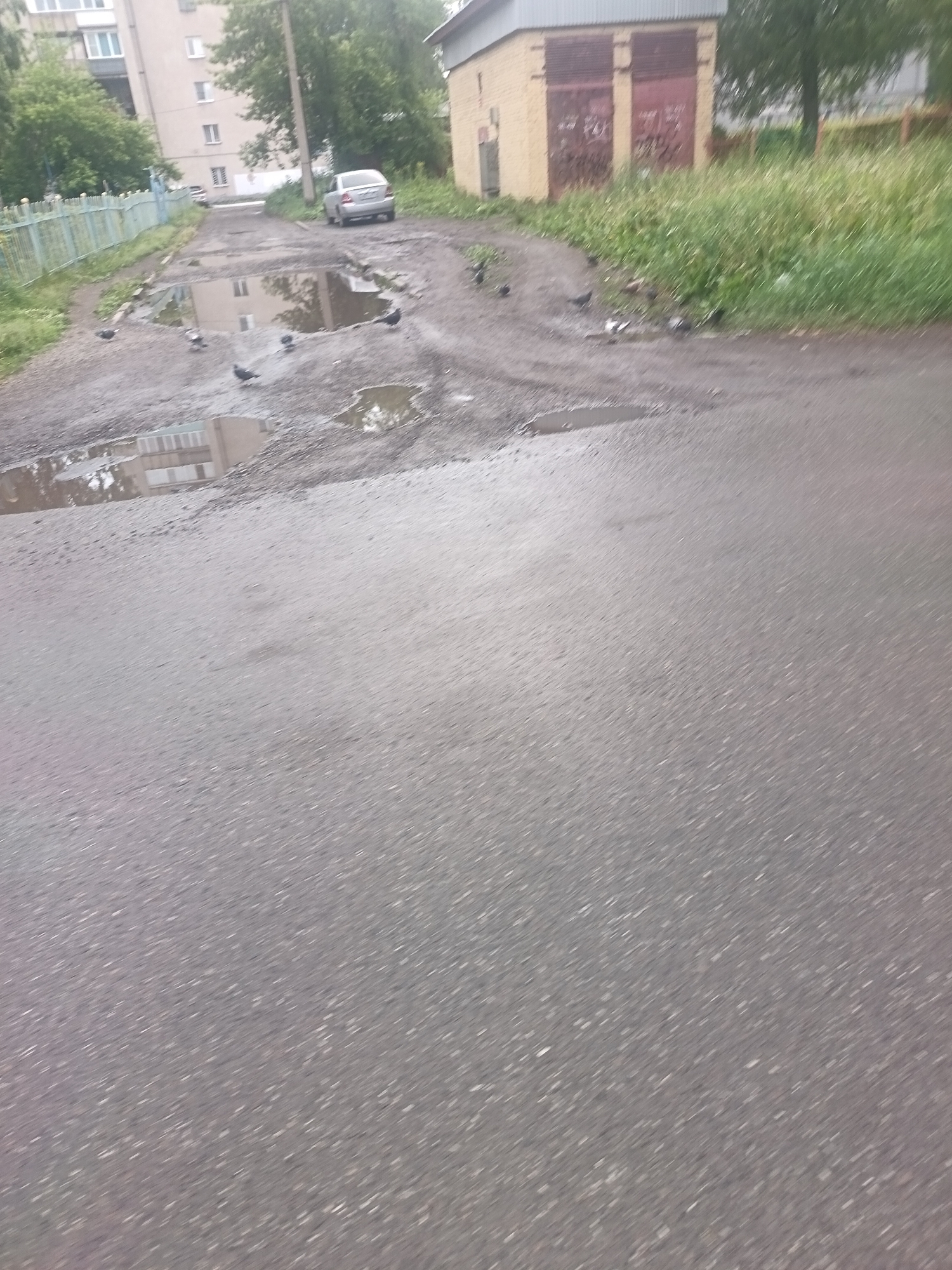 A paved courtyard in Novokuznetsk, Russia, is depicted. A silver sedan is parked on the right side of the image. Numerous pigeons are scattered throughout the courtyard, some are pecking at the ground, others are standing. Several large puddles are present, reflecting the surrounding buildings and sky. The scene is bordered by buildings and greenery.