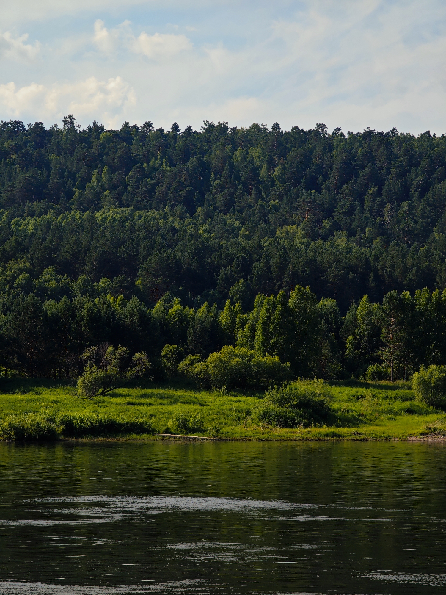 A wide, dark river flows in the foreground, reflecting the sky and the lush green landscape of the opposite bank. The bank is lined with a dense forest that extends upwards to meet a pale blue sky dotted with white clouds. The forest is a mix of evergreen and deciduous trees, creating a textured wall of green. In the foreground, the river surface is disturbed by gentle ripples and currents. The scene is serene and appears to be a natural landscape near the city of Predivinsk, Russia.
