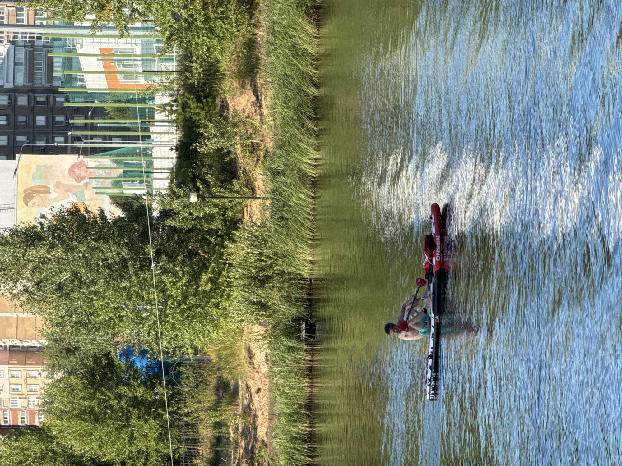A lone man is paddleboarding on a body of water, which appears to be a canal or river, on a sunny day. He is wearing blue swim trunks and is in a seated position on the board, holding a paddle. The paddleboard is red and black with white text and graphics on it. The water is calm with ripples reflecting the sunlight. The background shows a shoreline with dense green reeds and trees. Beyond the trees, in the distance, are several multi-story buildings, some appearing to be residential apartments. One building has a large mural on its side depicting two figures. There are also fences and some sports facilities, possibly a basketball court, visible in the background. The environment suggests an urban or semi-urban setting in Nizhny Novgorod, Russia, likely during the warmer months given the presence of water activities and foliage.