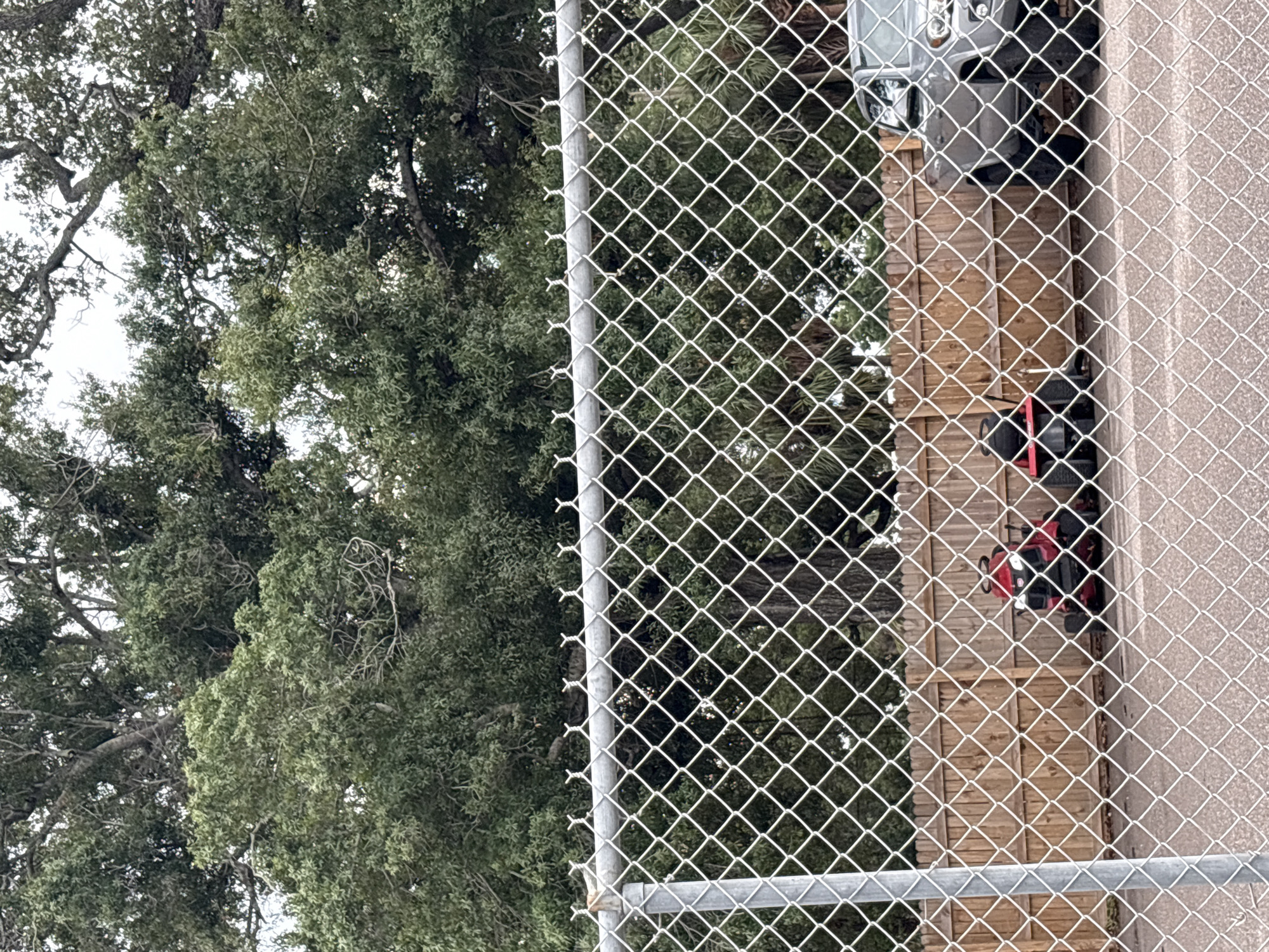 A chain-link fence runs horizontally across the foreground, obscuring a view of a yard. Behind the fence, two red riding lawnmowers are parked side-by-side in front of a light brown wooden fence. To the right of the lawnmowers, the front end of a silver SUV is visible. Lush green trees, some with visible branches, fill the background. The scene appears to be an outdoor storage area. The image was taken in Palmetto, United States of America.