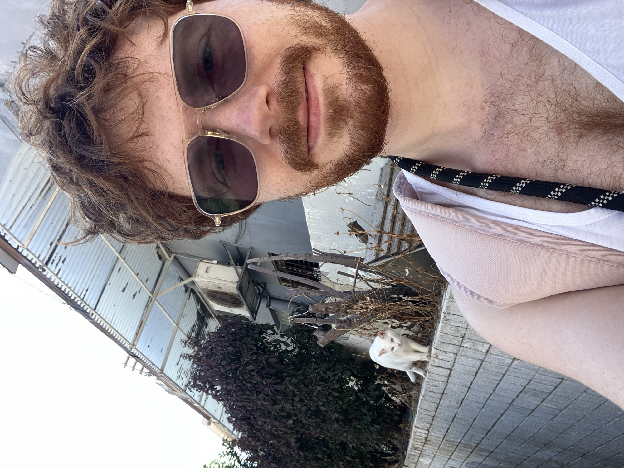 A selfie photo shows a fair-skinned man with reddish-brown hair, beard, and mustache wearing square-framed sunglasses. He's wearing a white tank top and a shirt with a black and white rope around the collar. Behind him is an urban scene: a metallic, corrugated roof overhangs some AC units, dead branches, and purple bushes. A white cat sits on a concrete ledge. The location is possibly Tel-Aviv, Israel.