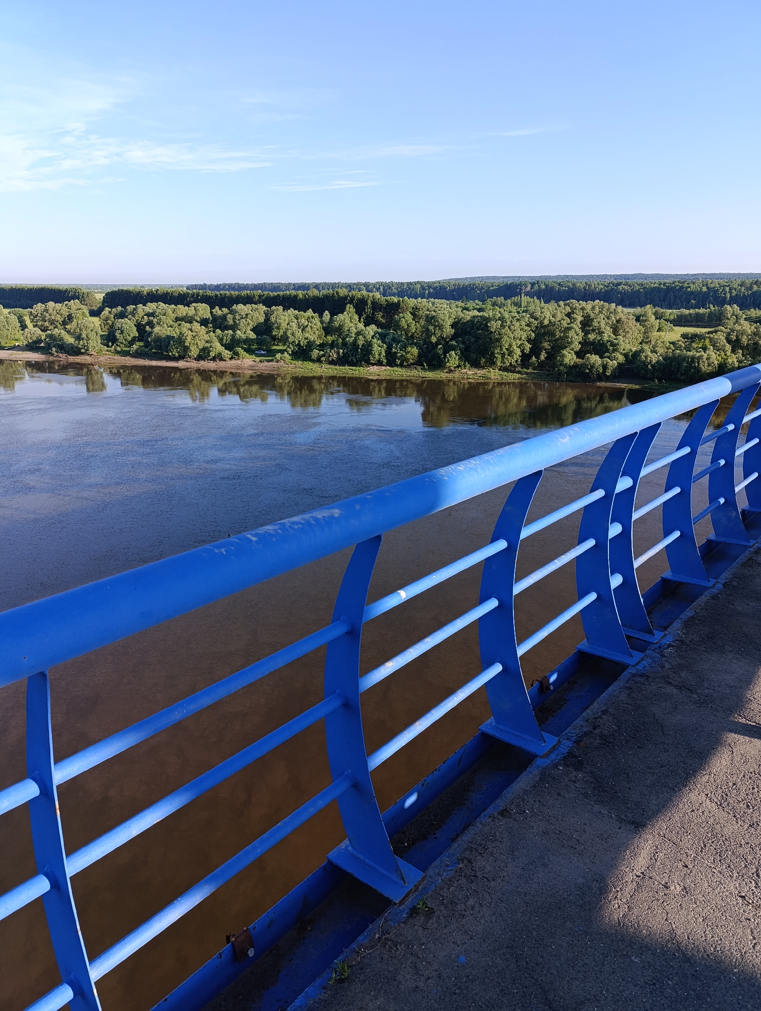 The image shows a bright, sunny day scene from a bridge overlooking a wide river and a dense, green forest on the opposite bank. A bright blue metal railing with horizontal bars dominates the foreground, casting a shadow on the asphalt surface of the bridge. The river has a murky brown color and reflects the sky and trees. The forest appears lush and full of leaves, stretching across the horizon under a clear blue sky with a few wispy clouds. There are no people or vehicles visible in the image. The location is identified as a bridge in the city of Tara, Russia.