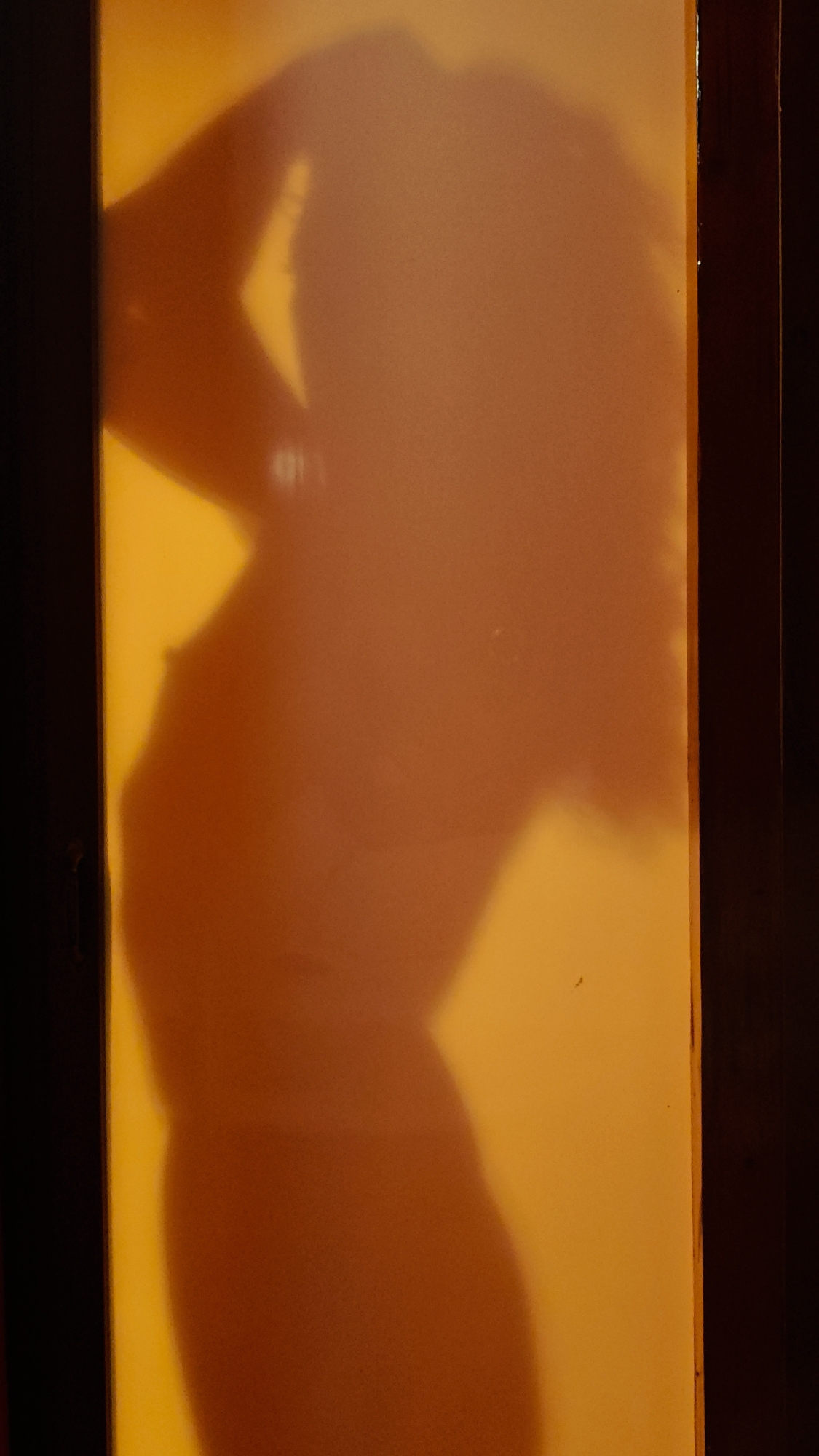A stark image features the silhouette of a person, likely female, cast onto a translucent orange panel, possibly a door or window. The silhouette suggests a posed or dynamic stance, with one arm raised towards the head. The image is framed by dark wooden or similar material along the edges, suggesting the structure of the panel. The location, Binh Lu, Vietnam, cannot be confirmed from this image alone. The focus is solely on the human silhouette and the panel's unique lighting effect.