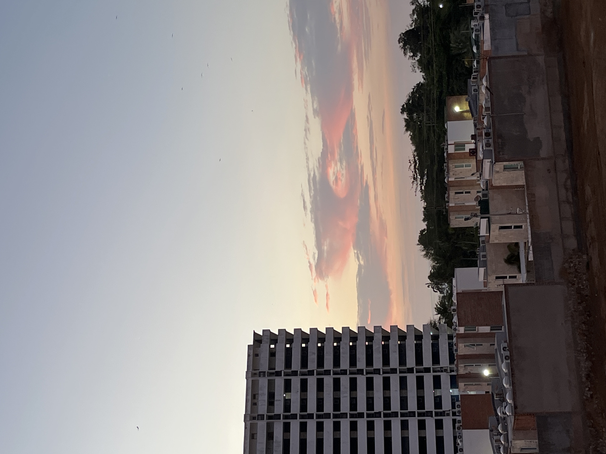The image, appearing rotated 90 degrees clockwise, captures an urban or suburban scene at either dusk or dawn, characterized by a dramatic sky. When viewed horizontally, the left side of the sky is a clear, light blue-grey, with several small birds silhouetted against it. Moving right, the sky transitions into a vibrant display of red, orange, and pink clouds, suggesting a colorful sunrise or sunset.
In the foreground and mid-ground on the left, a large, multi-story building dominates, featuring modern architecture with a distinctive facade of numerous rectangular cutouts forming a grid pattern. This light-colored building has a unique, stepped, jagged roofline.
To the right of this structure, a series of smaller residential-style buildings or houses are visible. These buildings appear to be either new or under construction, with exposed concrete or brick-like textures and flat roofs. Many white air conditioning units are prominently displayed on their rooftops, and one building shows a distinct artificial light source.
Behind these residences, a dense line of dark green trees provides a natural backdrop, hinting at a vegetated area or hillside. The far right edge of the frame reveals a strip of reddish-brown earth, possibly an unpaved road or construction ground. No explicit human activity is observed, and no text is visible. The scene depicts a quiet moment in Porlamar, Venezuela.