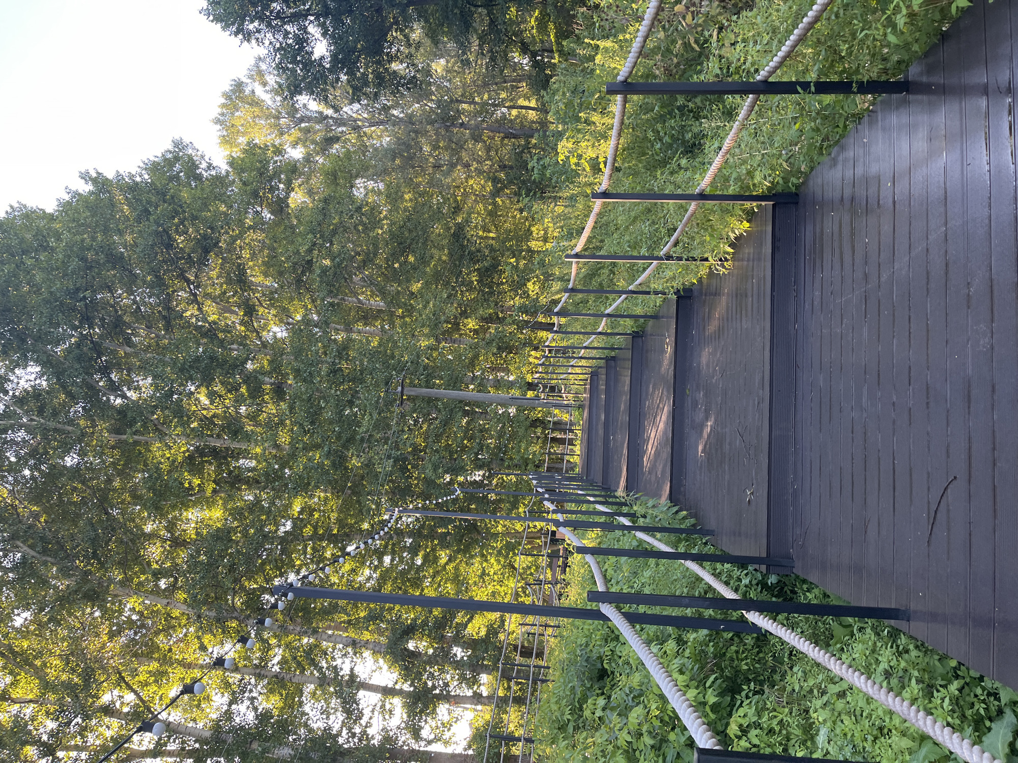 The image shows a wooden boardwalk ascending into a grove of tall trees with green foliage. String lights are suspended between poles along the left side of the boardwalk. The boardwalk has dark wooden planks and is bordered by a metal railing with thick white ropes. Lush green vegetation flanks the boardwalk on either side. The scene appears to be outdoors, in a natural or park-like setting. Based on the context provided, this location is identified as being in Blagoveshchensk, Russia.