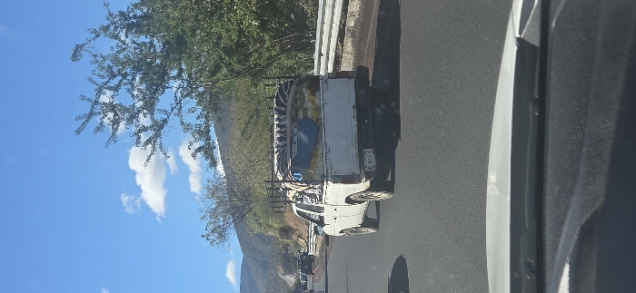 A white truck with a decorative zebra-striped roof rack is parked on the side of a road, possibly a highway. The truck has a luggage rack on its cab. A mountainous landscape is visible in the background with a clear blue sky and some clouds. Some trees and bushes are also nearby. The photo appears to be taken from inside another vehicle.