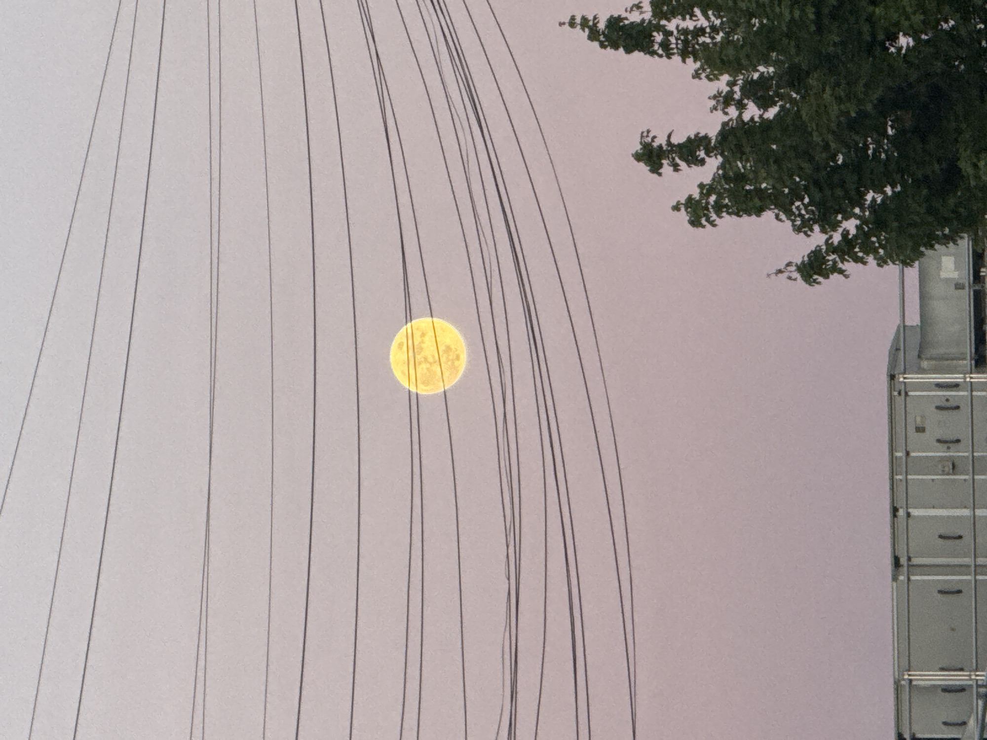 The image depicts an outdoor scene featuring a prominent full moon, a network of wires, a tree, and a modular structure, under a soft, light purple-grey sky.
A large, bright yellow full moon, detailed with visible craters, is centrally positioned towards the left of the frame. Multiple thin, dark lines, resembling suspension cables or wires, extend vertically and diagonally across the image, some passing directly in front of the moon.
In the upper right corner, a section of a tree with dark green foliage is visible. Along the far right edge, a tall, grey, modular structure is partially shown. It appears to be constructed from stacked units, possibly temporary offices or containers, featuring horizontal divisions and small, dark rectangular details.
The time of day is likely twilight or night, given the clear visibility and brightness of the moon against the subdued sky. The presence of cables, the moon, and urban structures could suggest a setting near a landmark such as the London Eye in London, United Kingdom. No people or visible text are present, and no specific activity is taking place.