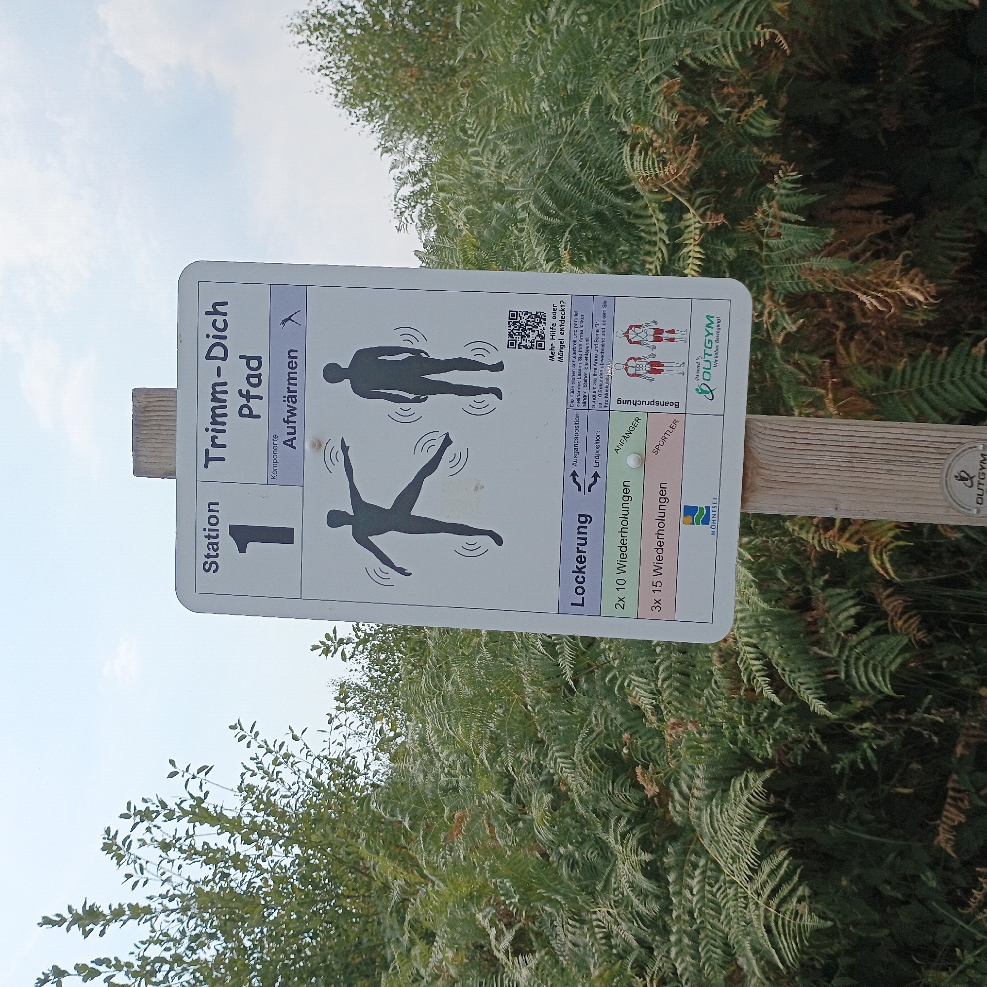 The image shows a signpost for a "Trimm-Dich-Pfad" (fitness trail) at Station 1, identified as "Aufwärmen" (warm-up). The sign is white with black text and illustrations. It depicts two silhouette figures performing an exercise, with instructions for "Ausgangsposition" (starting position) and "Endposition" (ending position). The sign also specifies repetitions: "2x 10 Wiederholungen" (2x 10 repetitions) for beginners ("ANFÄNGER") and "3x 15 Wiederholungen" (3x 15 repetitions) for athletes ("SPORTLER"). Below this, there is a logo for "MÖHNESEE" and a QR code with the text "Mehr Hilfe oder Mängel entdeckt?" (More help or defects found?). Further down, there is an illustration of a human body highlighting muscle groups and the text "Beanspruchung" (stress/load). The bottom right of the sign features a logo with the text "Powered by OUTGYM Wir lieben Bewegung!" (We love movement!). The signpost is made of wood and is situated outdoors, surrounded by lush green ferns and trees under a cloudy sky. The location is identified as Möhnesee, Germany, as indicated by the "MÖHNESEE" logo on the sign.