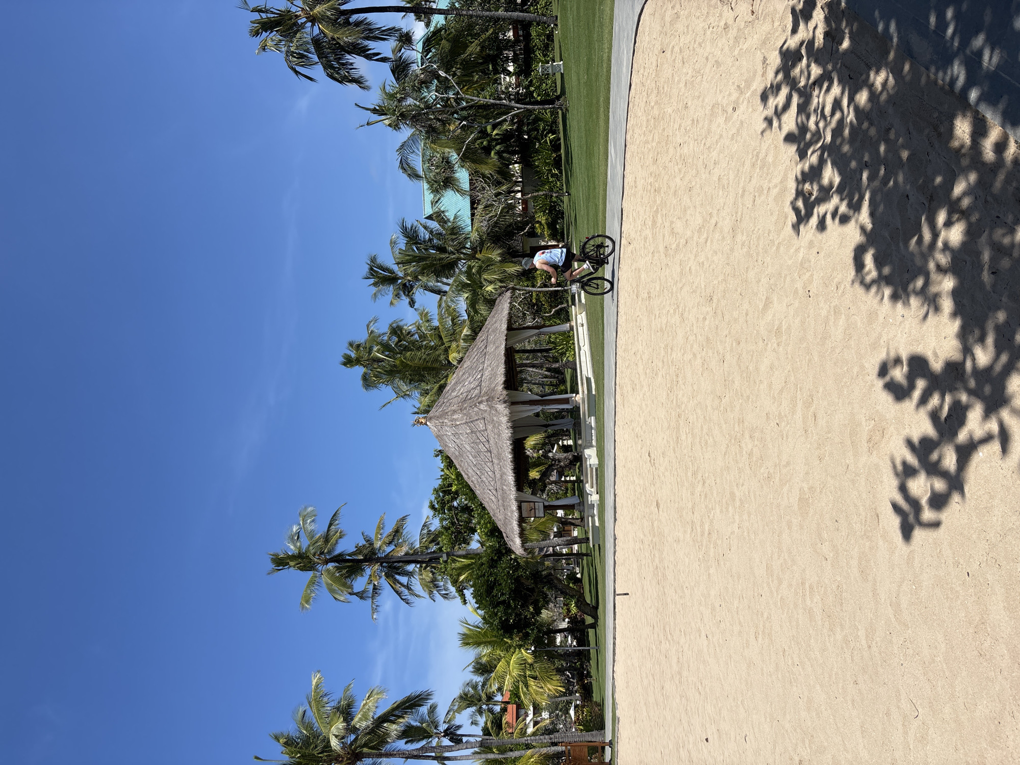A tropical scene in Kuta Selatan, Indonesia, shows a man riding a bicycle on a sandy path lined with palm trees. A gazebo with a thatched roof stands near the path, adjacent to a strip of green grass. The sky is clear and blue. Shadows of tree leaves fall on the sand.
