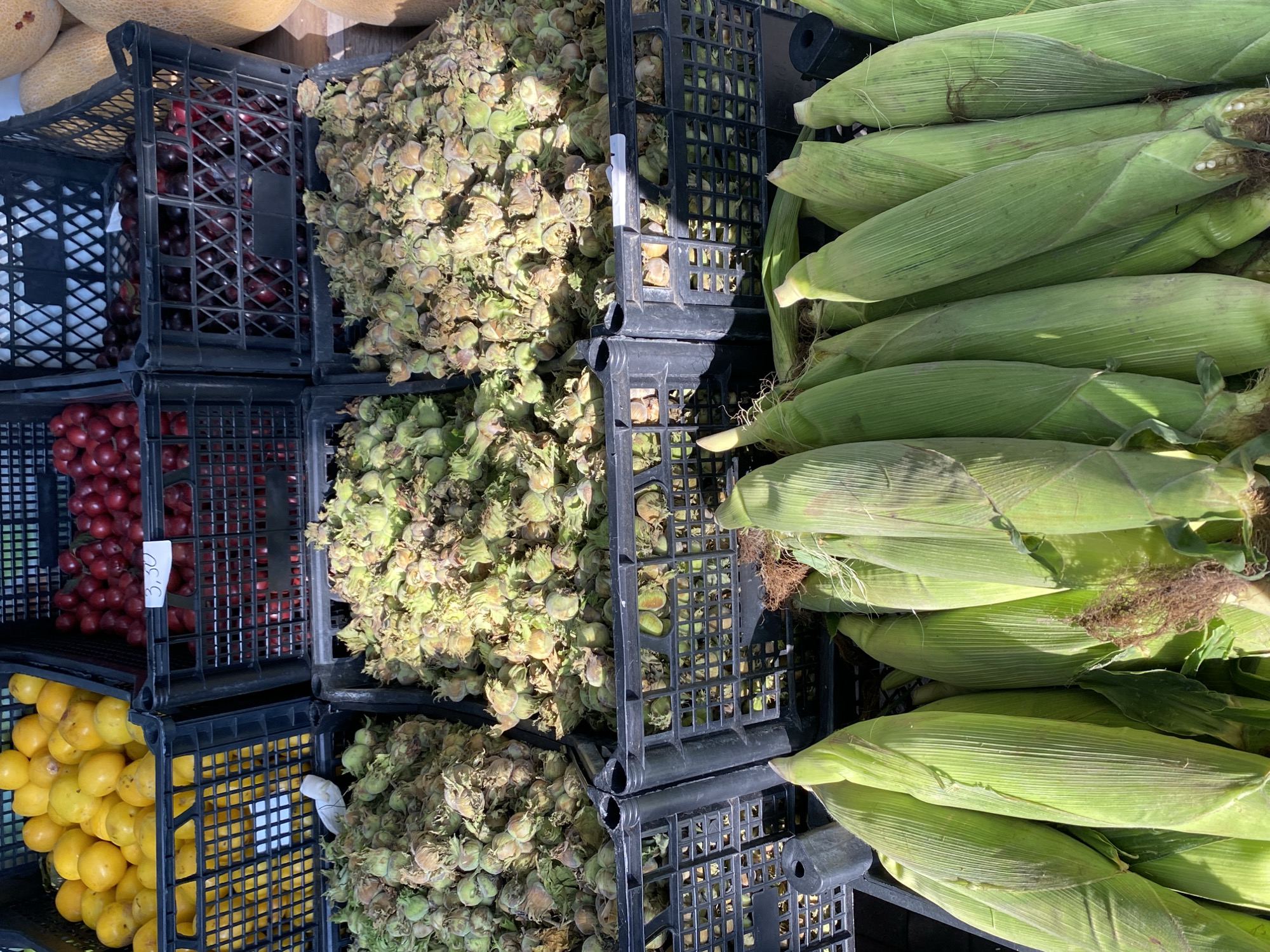 The image shows a close-up of a market stall in Batumi, Georgia, featuring a variety of fresh produce displayed in black plastic crates. In the foreground, several ears of corn are neatly arranged, their green husks tightly wrapped around the kernels. Above the corn, in rows of crates, are nuts, likely hazelnuts, with their green outer shells still attached, some appearing lighter green and others a more mature brown. Further back, crates are filled with bright yellow lemons and deep red cherries. The overall impression is of a vibrant and abundant market offering fresh, locally sourced goods. The scene is illuminated by natural sunlight, casting shadows that highlight the textures of the produce.
