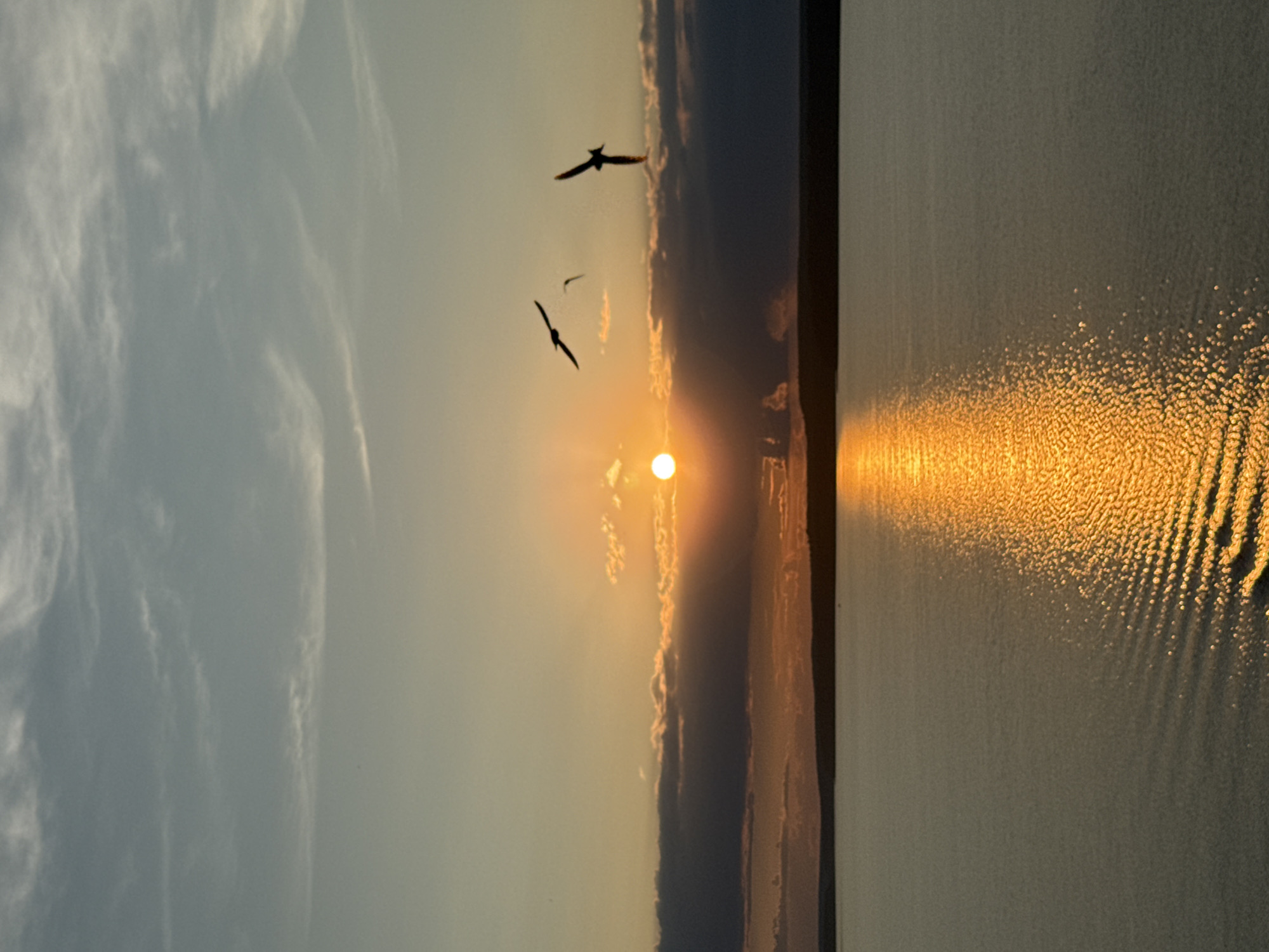 This is a vertical, full-frame photograph of a sunset over a body of water. The sun is a bright orange orb partially obscured by dark clouds on the horizon, casting a golden reflection on the water. The water is calm, with gentle ripples reflecting the light. Three birds in silhouette are flying in the sky. The sky is a gradient of pale blue at the top, transitioning to warmer orange and yellow tones near the horizon. The shoreline is a dark, indistinct line in the distance. The scene is likely Votkinsk Reservoir in Votkinsk, Russia.