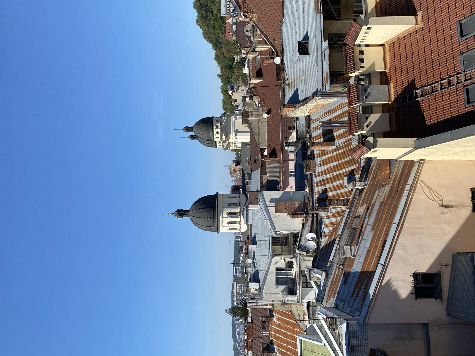This is a photograph of an urban rooftop landscape under a clear blue sky. The foreground is dominated by various rooftops of buildings, some with rusted corrugated metal and others with red tile roofing. Several chimneys, some ornate and others simple metal vents, are visible. In the mid-ground, there are buildings with light-colored facades and windows, some with balconies. In the background, two prominent domed structures, characteristic of Lviv's architecture, rise above the other buildings. These domes are dark and topped with crosses, suggesting they are part of a church or religious institution. Beyond these structures, a tree-covered hill is visible on the right, and other buildings extend into the distance. The scene is likely a view from an elevated position within the city of Lviv, Ukraine, given the architectural style of the domes. There are no people or animals visible in the image. The overall impression is that of an old European city on a sunny day.