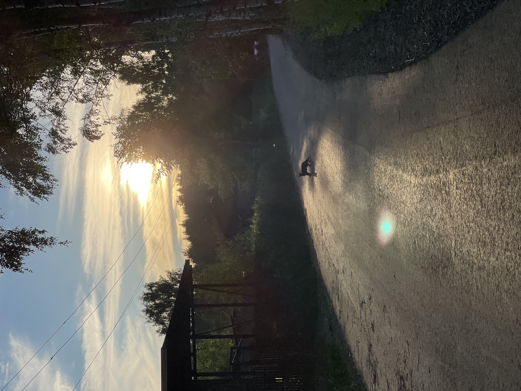 The image depicts a rural scene at sunset, likely in the city of Заречный, Russia. A dirt road curves through a wooded area, illuminated by the golden light of the setting sun. In the middle of the road, a dark-colored cat is silhouetted against the bright, sunlit surface, casting a faint shadow. The sky above is filled with wispy clouds, with the sun peeking through, creating lens flare and shafts of light. To the left of the road, a simple wooden structure with a dark roof is visible, partially obscured by trees and fencing. The environment appears to be a village or dacha settlement, with dense foliage and trees lining the road and surrounding the structures. The overall atmosphere is tranquil and natural, with the light and shadows playing across the landscape.