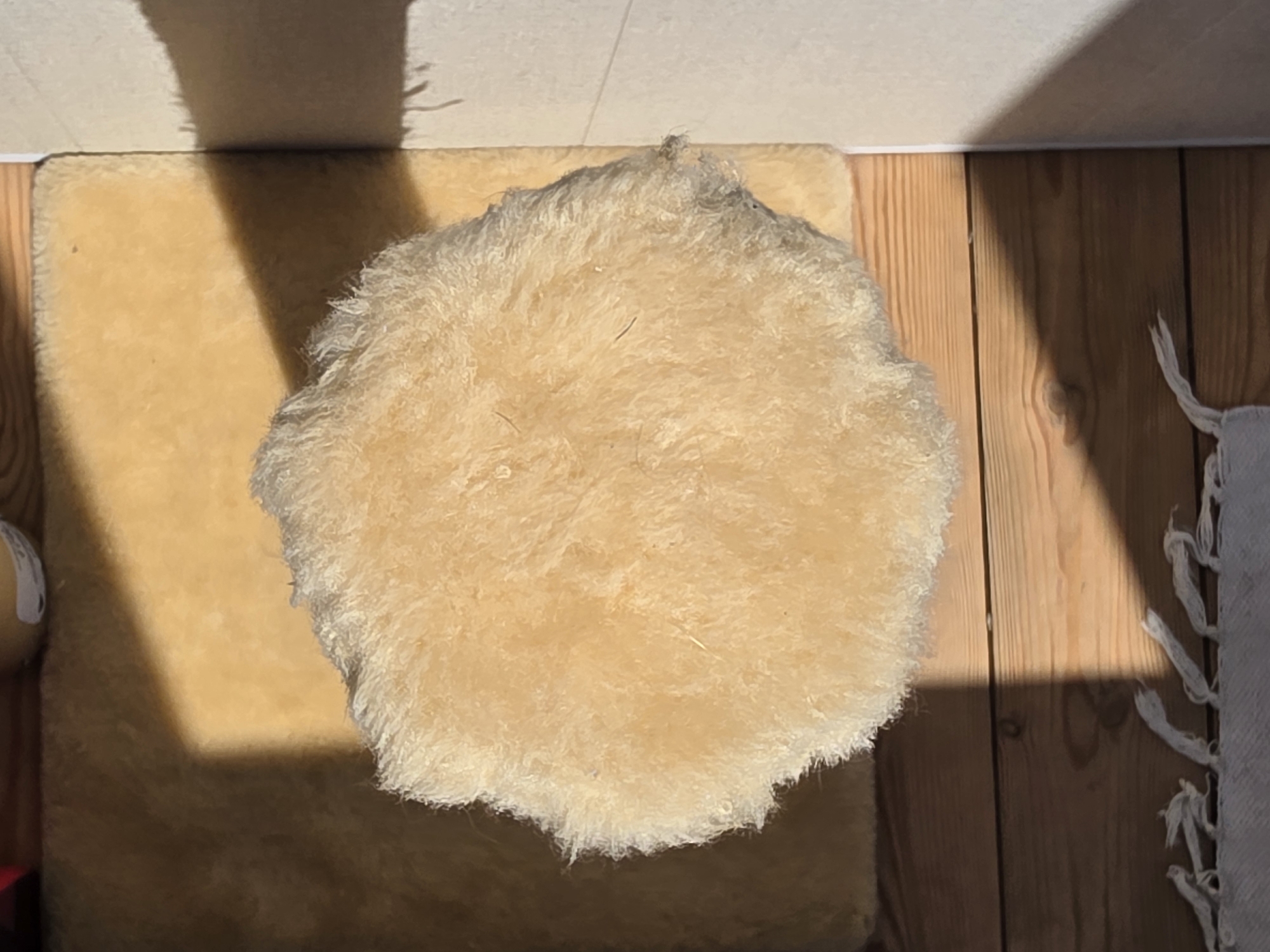 The image shows a close-up, top-down view of a fluffy, round, light-beige object, likely a cushion or a stuffed toy, resting on a tan carpet. The object has a textured, shaggy surface with visible strands of fiber. It casts a shadow that stretches across the carpet and onto a wooden floor. The wooden floor is composed of light-colored planks with visible grain and knots. To the right of the wooden floor, a textured white fabric with a fringe is partially visible. A strong shadow from an unseen object falls diagonally across the scene, suggesting it is daytime and the light source is angled. The overall impression is of a domestic setting, possibly a home or a pet's resting area, given the soft textures and the presence of a carpet. The lighting and shadows suggest a bright, sunny day. There is no visible text in the image.