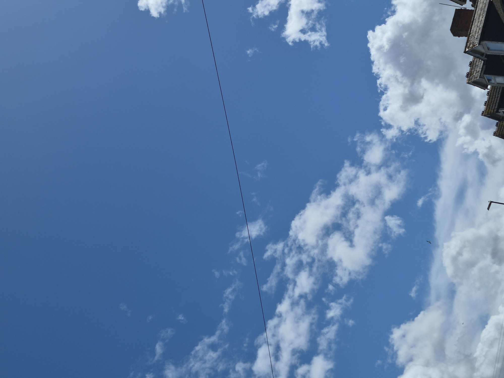 This is a vertical, eye-level, medium shot of a clear blue sky filled with scattered white cumulus clouds. A thin, dark horizontal line, likely a wire, stretches across the upper-middle section of the frame. In the lower portion of the image, the rooftops of several terraced houses are visible. The roofs are tiled, and some have dormer windows. The sky is a dominant feature, suggesting an outdoor scene on a sunny day. The presence of the houses indicates an urban or suburban setting, possibly within Sandwell, United Kingdom, given the architectural style. A small bird is visible in flight near the center-left of the image.