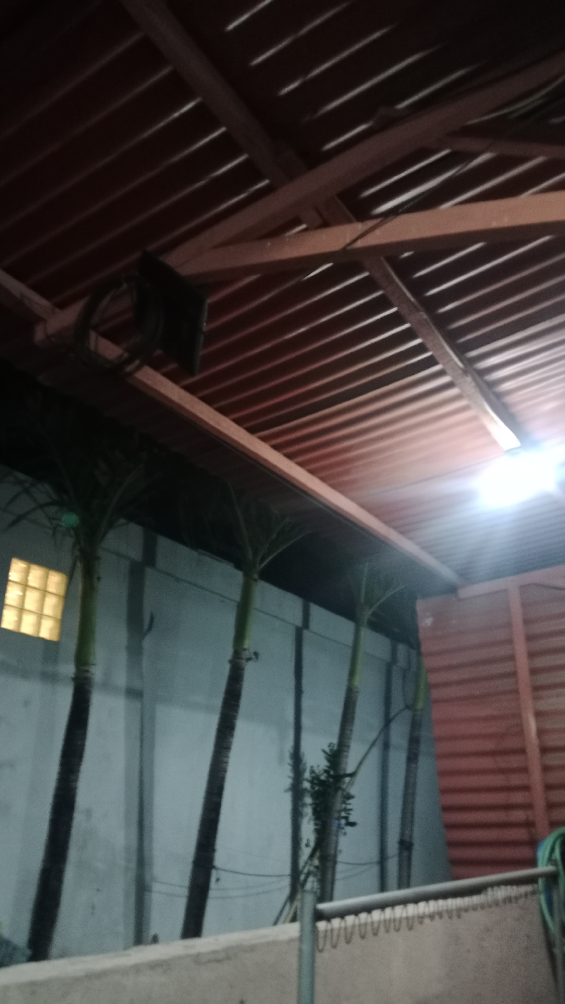The image depicts an outdoor scene at night, likely in Denpasar, Indonesia. The foreground is dominated by a section of a concrete wall and a metal structure with numerous rings, possibly a clothesline. Behind this, several tall, slender palm trees are visible, their trunks dark and textured. The background features a light blue wall with a single lit window made of frosted glass blocks. To the right, a red corrugated metal wall is visible. Overhead, a reddish-brown corrugated metal roof is supported by wooden beams, and a bright light source emanates from the upper right corner, casting strong glare. A dark, rectangular object, possibly a speaker or a light fixture, is attached to the underside of the roof structure. The overall impression is of a simple outdoor area, perhaps a backyard or a sheltered walkway, at night.