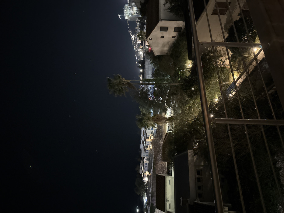 The image presents a nighttime panoramic view of Budva, Montenegro, observed from an elevated position, likely a balcony. In the immediate foreground, a metallic balcony railing with multiple horizontal bars is visible, reflecting ambient light. Directly below the railing, a dense arrangement of dark trees and vegetation fills the midground, with several areas illuminated by visible streetlights or landscape lighting. Further into the midground, residential buildings with light-colored facades and terracotta-colored tiled roofs are situated among the trees. Two prominent, tall palm trees stand out. In the background, the city of Budva extends up a hillside, characterized by numerous illuminated buildings indicating urban development. To the left, a cluster of white buildings with blue accents is discernible. To the far right, a tall building under construction, featuring scaffolding and an illuminated construction crane, dominates the skyline against the dark night sky, which displays minimal ambient light pollution and faint celestial points. No human figures or discernible actions are present in the scene.