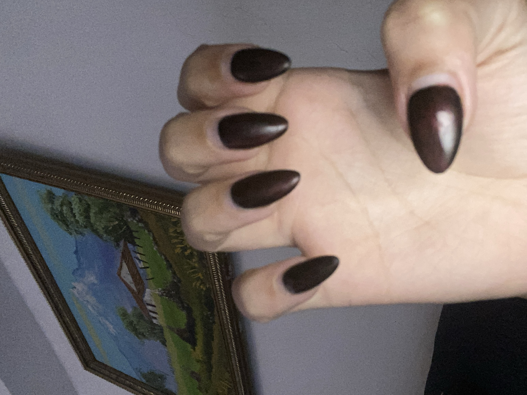 A close-up of a hand with almond-shaped, dark brown manicured nails is presented in an indoor setting. The hand is slightly clenched. Adjacent to the hand is a framed painting depicting a rural landscape with a house, trees, and sky. The background consists of a plain, light-colored wall. The lower right corner of the image shows part of a black garment. No indications of location within Cotoperíz, Venezuela, are apparent.