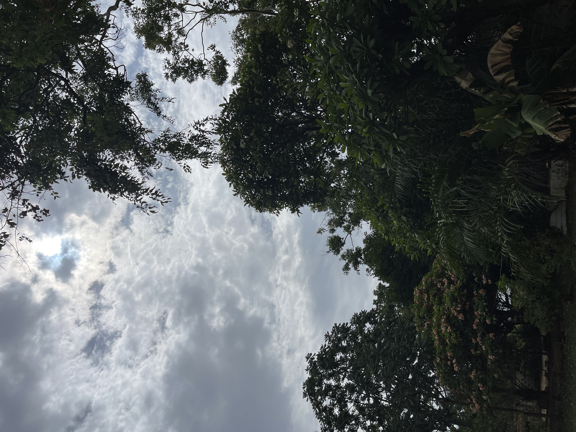 The image shows a view of the sky framed by trees. The sky is overcast with various types of clouds. The trees are a mix of leafy varieties. The location is most likely Jos, Nigeria.