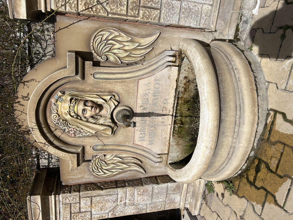 A decorative stone wall fountain is centrally depicted outdoors in Banite, Bulgaria, under direct sunlight. The fountain consists of an arched main panel, flanked by two faux stone pilasters, all appearing to be constructed from light-colored concrete or carved stone. A central relief sculpture portrays a female face with blue eyes, a golden headband, and a draped head covering, positioned directly above an aged brass spigot from which a thin stream of water actively drips. Two stylized, gilded wings flank the central face. Below the face, an inscription in Cyrillic reads "ИЗВОР НА ВОДА ИЗВОР НА ЖИВОТ" (Source of water, source of life). The water falls into a weathered, semi-circular stone basin, which exhibits green algal growth and mineral staining on its inner surface. Water splashes from the basin onto the adjacent interlocking concrete pavers, creating a wet area directly in front of the fountain. Small green plant shoots grow from cracks in the pavers at the fountain's base. The background behind the fountain features dry, thorny branches from a bush visible against a light-colored wall or fence. Strong shadows are cast across the scene, indicating clear skies.