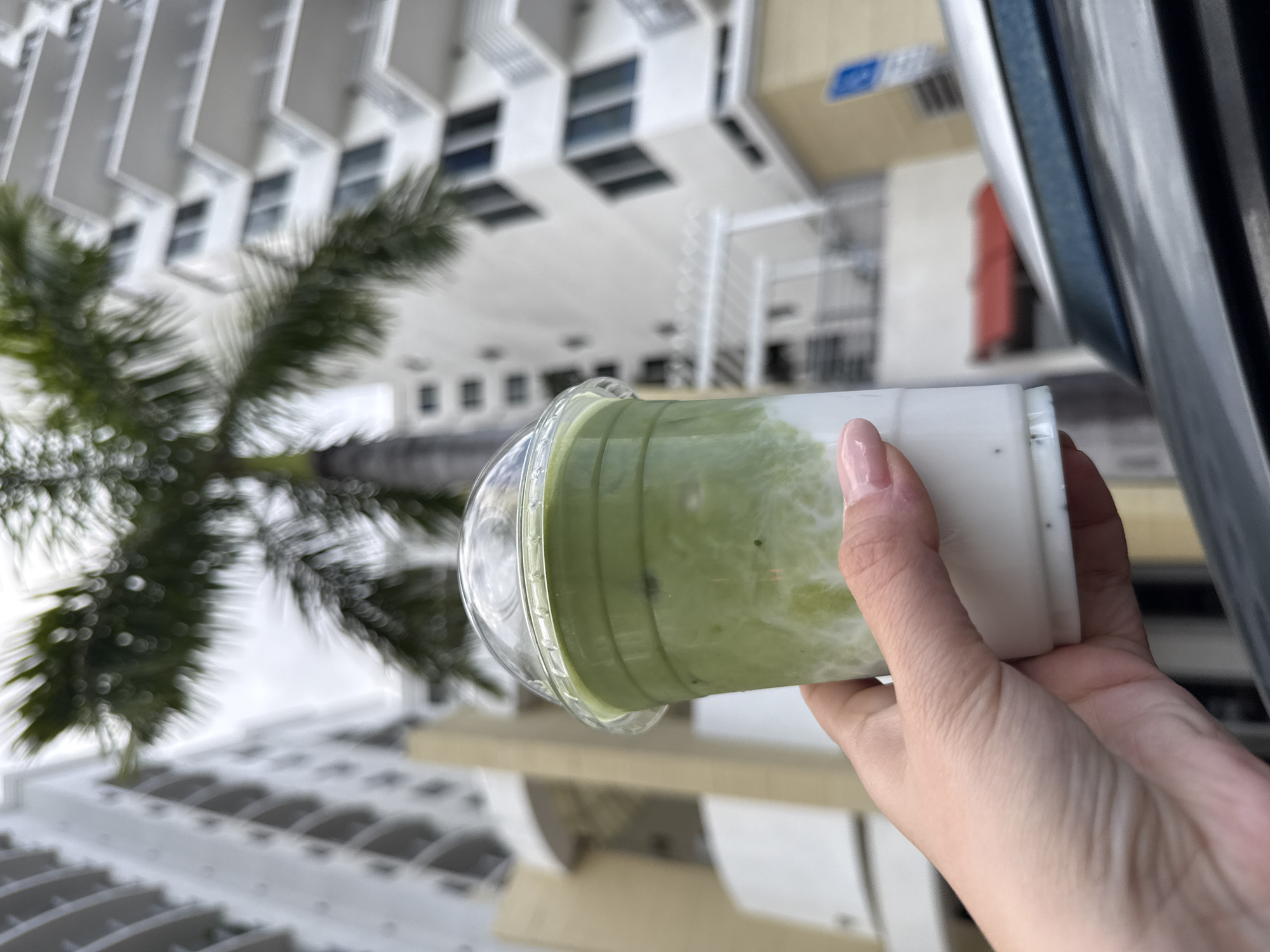 A hand holds a plastic cup containing a green liquid, possibly a beverage like matcha latte or smoothie, against a cityscape background. The hand has light skin and manicured nails. The plastic cup has a transparent lid and a cylindrical white base. The background shows a palm tree on the left and tall, white, modern buildings with windows, suggesting an urban or coastal area. Given the prompt, it is in Hollywood, United States of America. The cup is positioned in front of the hand, obscuring part of the background. A metal frame or structure is visible in the background on the right side.
