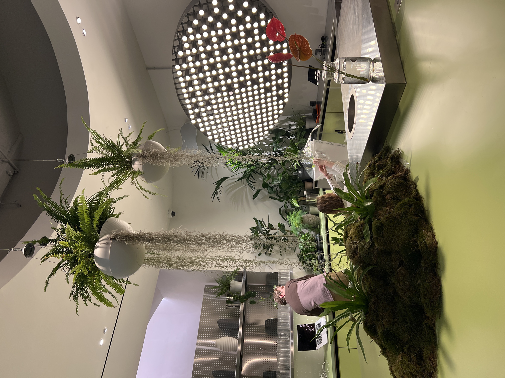 A brightly lit interior, possibly a retail space or office in Moscow, Russia, given the presence of a laptop and possible sales transaction. The scene features a woman in a pink shirt using a laptop. The room contains abundant plant life, including hanging ferns in white spherical planters, a moss-covered wall, and various potted plants on shelves. A large, circular light fixture with numerous bulbs illuminates the space. A vase with red anthurium flowers sits on a stainless steel counter. The room has a modern, minimalist design with a focus on natural elements.