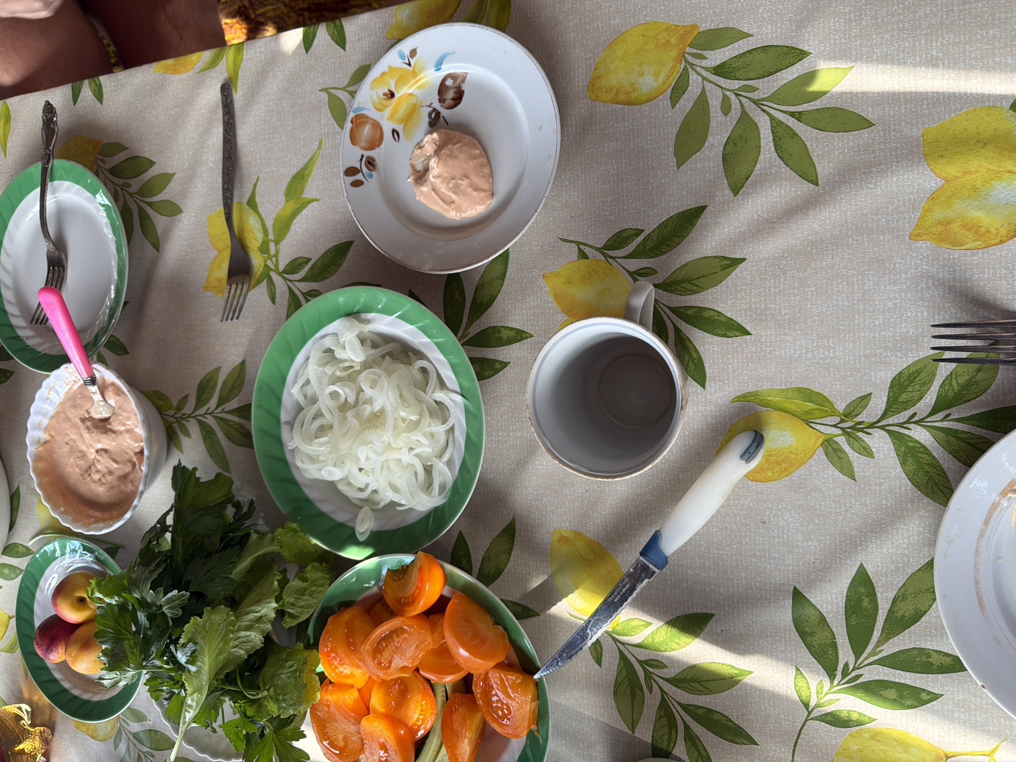 The image depicts a tabletop covered with a light-colored tablecloth featuring a pattern of green leaves and yellow lemons. On the table, several plates and bowls are arranged. One plate contains sliced orange tomatoes and some greens. Another bowl holds a portion of sliced white onions. A third white plate has a dollop of pinkish spread on it, and a spoon with a pink handle is resting in a white bowl filled with a similar pinkish spread. There are also two forks, one with a pink handle and another plain metal one. A white mug and a knife with a blue and white handle are also visible. A small bunch of red fruits, possibly peaches or nectarines, is on a green-rimmed plate. The scene suggests a meal or preparation for a meal outdoors, possibly on a sunny day, as indicated by the dappled sunlight and shadows on the tablecloth. The city of Kurgan, Russia is not depicted in this image, and there are no people visible.